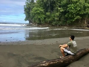 A boy sitting on a log on the sandy beach, looking out at the ocean with trees in the background.