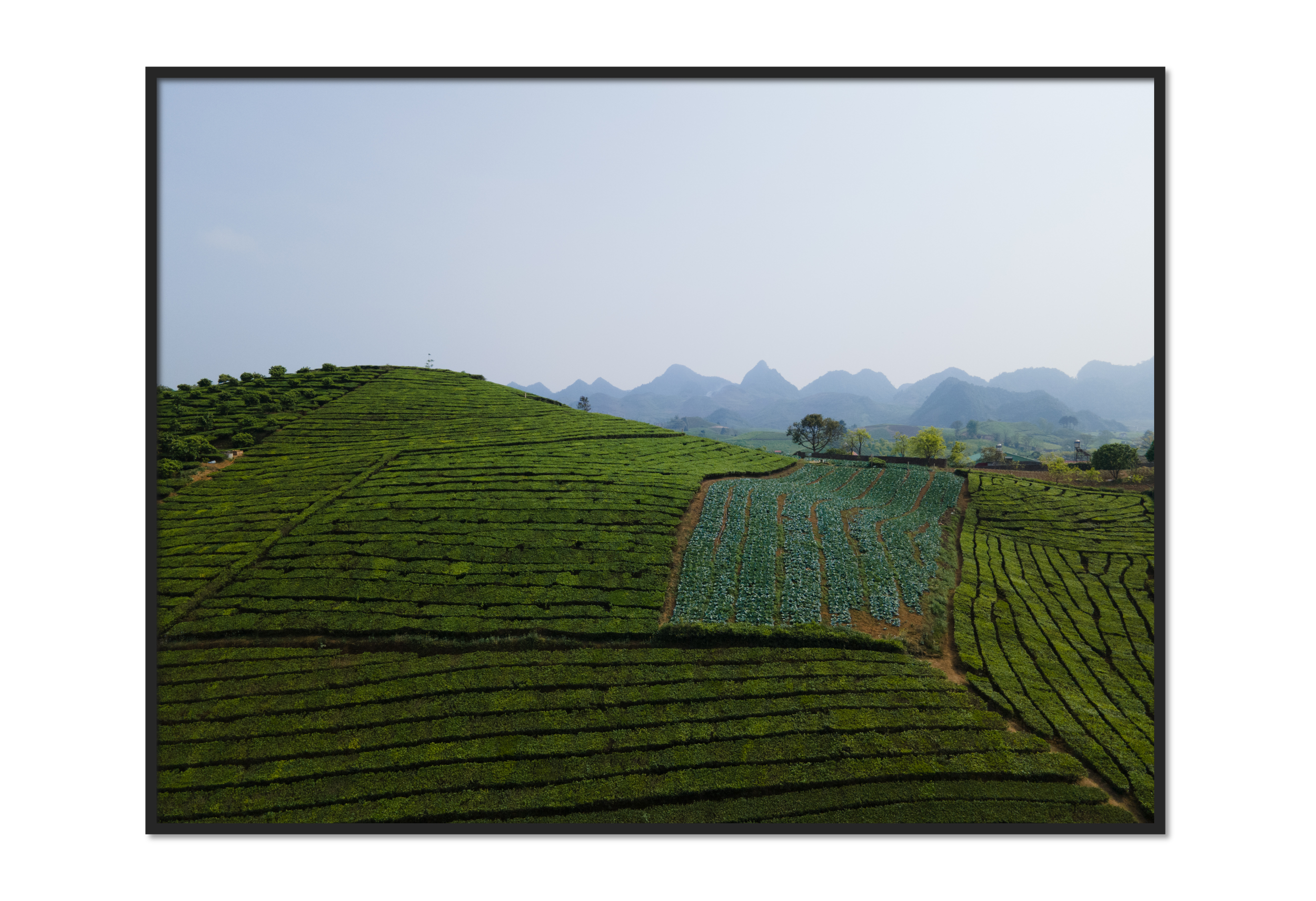 vietnam_03_framed.png