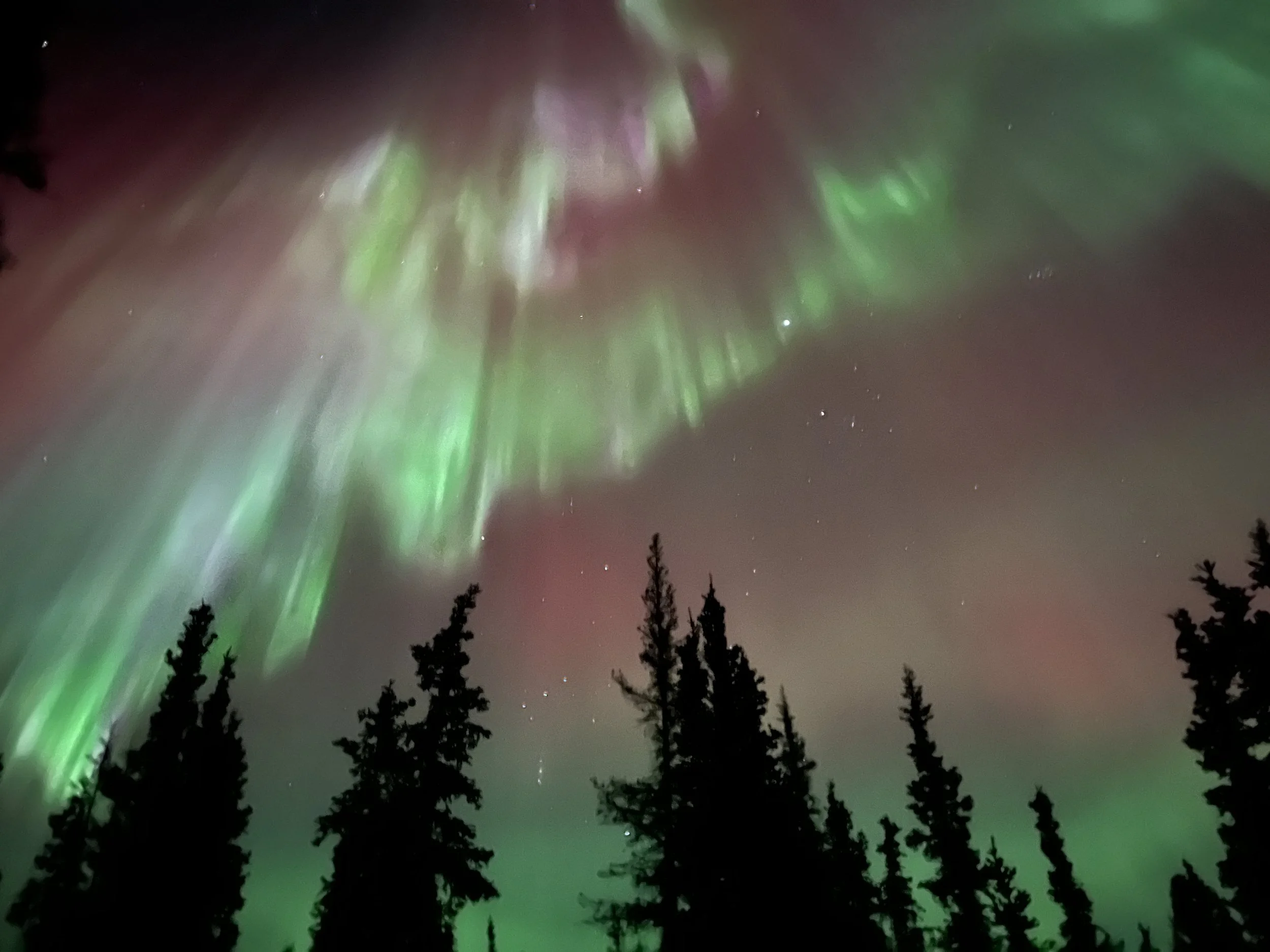Reading and Conversation at Tri-Valley Community Library