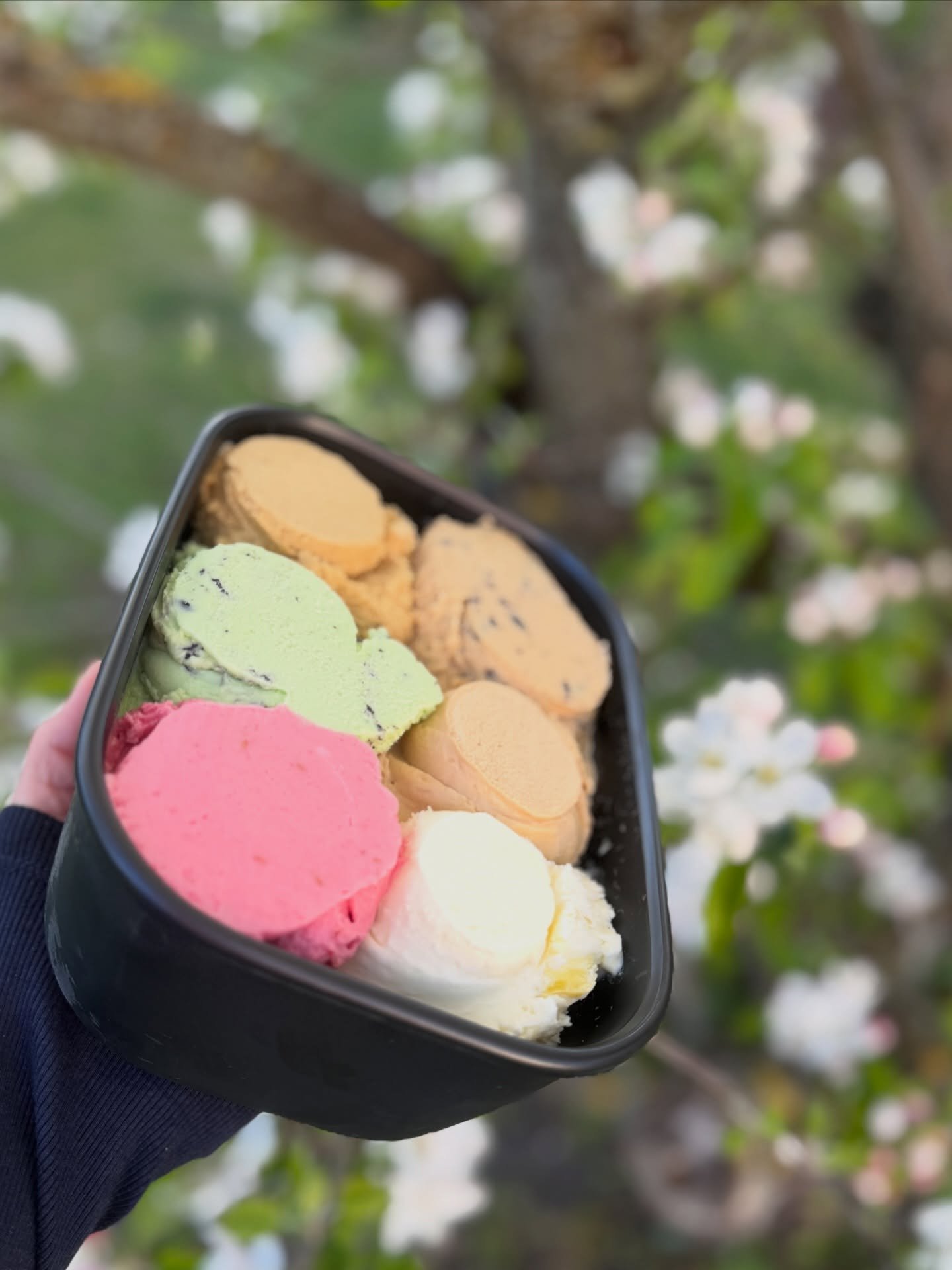 Glimt fra en arbejdsdag i omvendt kronologisk r&aelig;kkef&oslash;lge. Tak til alle jer som spontant og p&aring; bestilling henter is til jeres sm&aring; og store fejringer hos os🙏💚🍦☀️
@roskildeismejeri #tagmedhjemiegenboks ♻️ #istid #hverdag #mor
