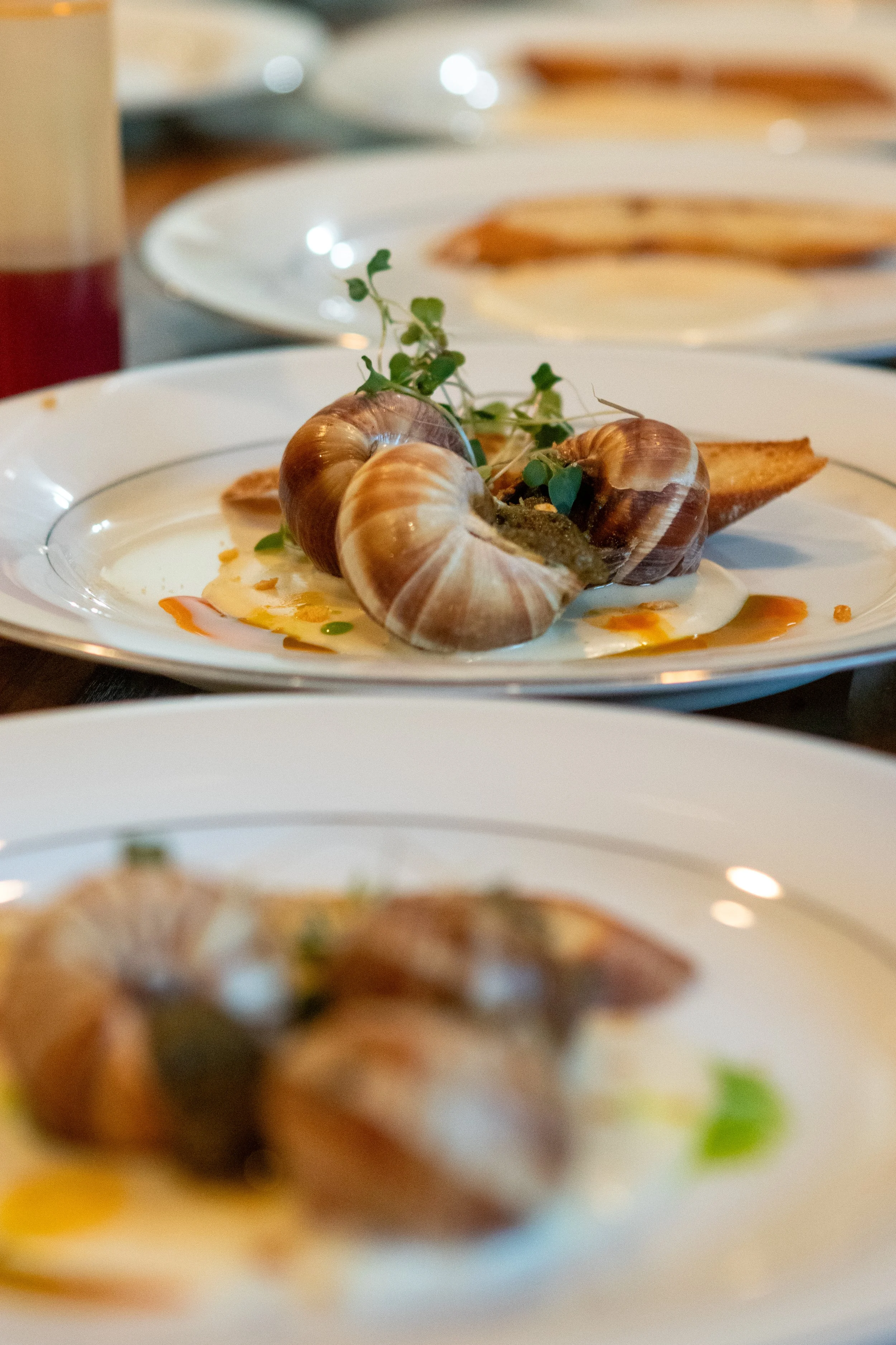 Escargot Smaller-3274.jpg