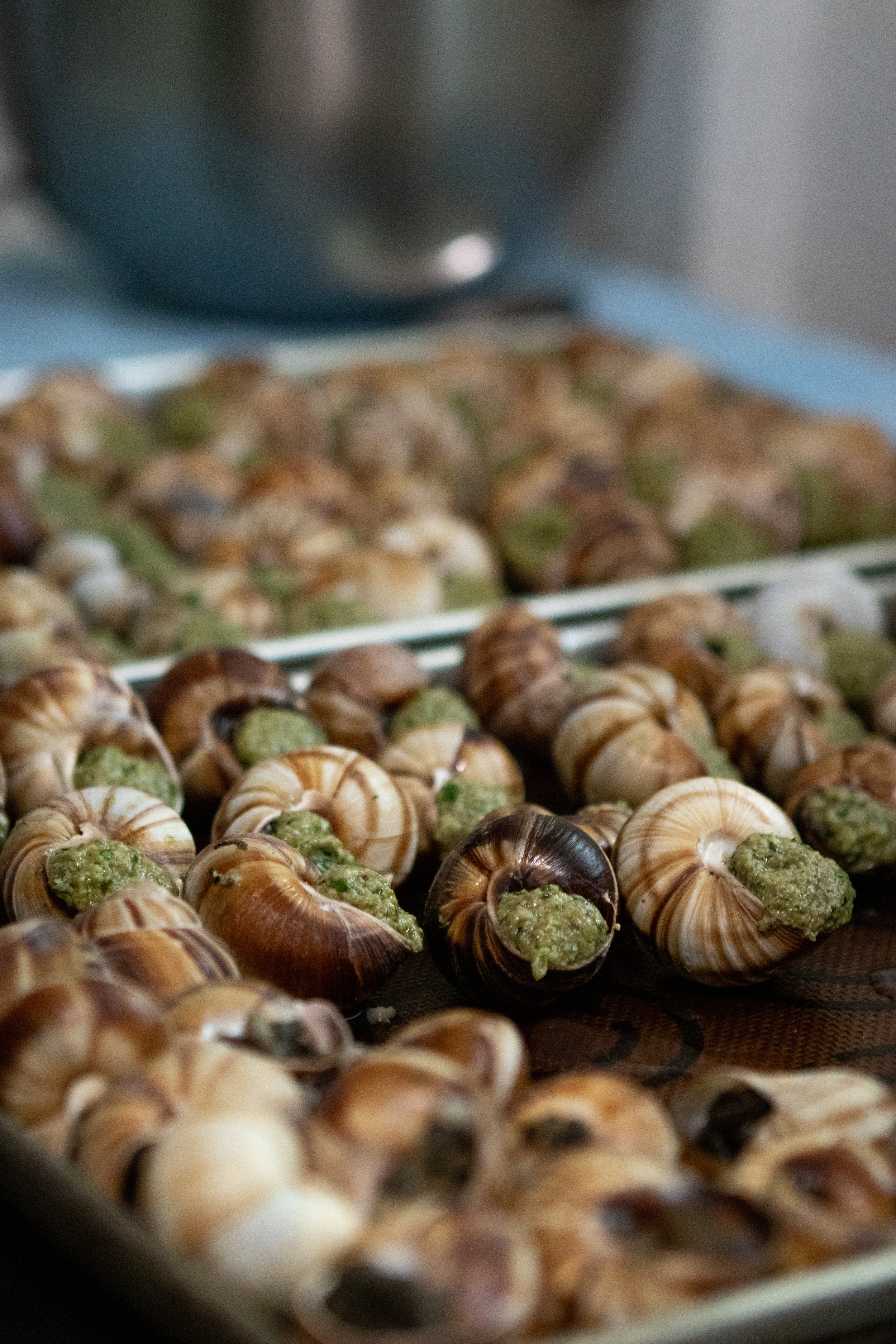 Escargot Smaller-3180.jpg