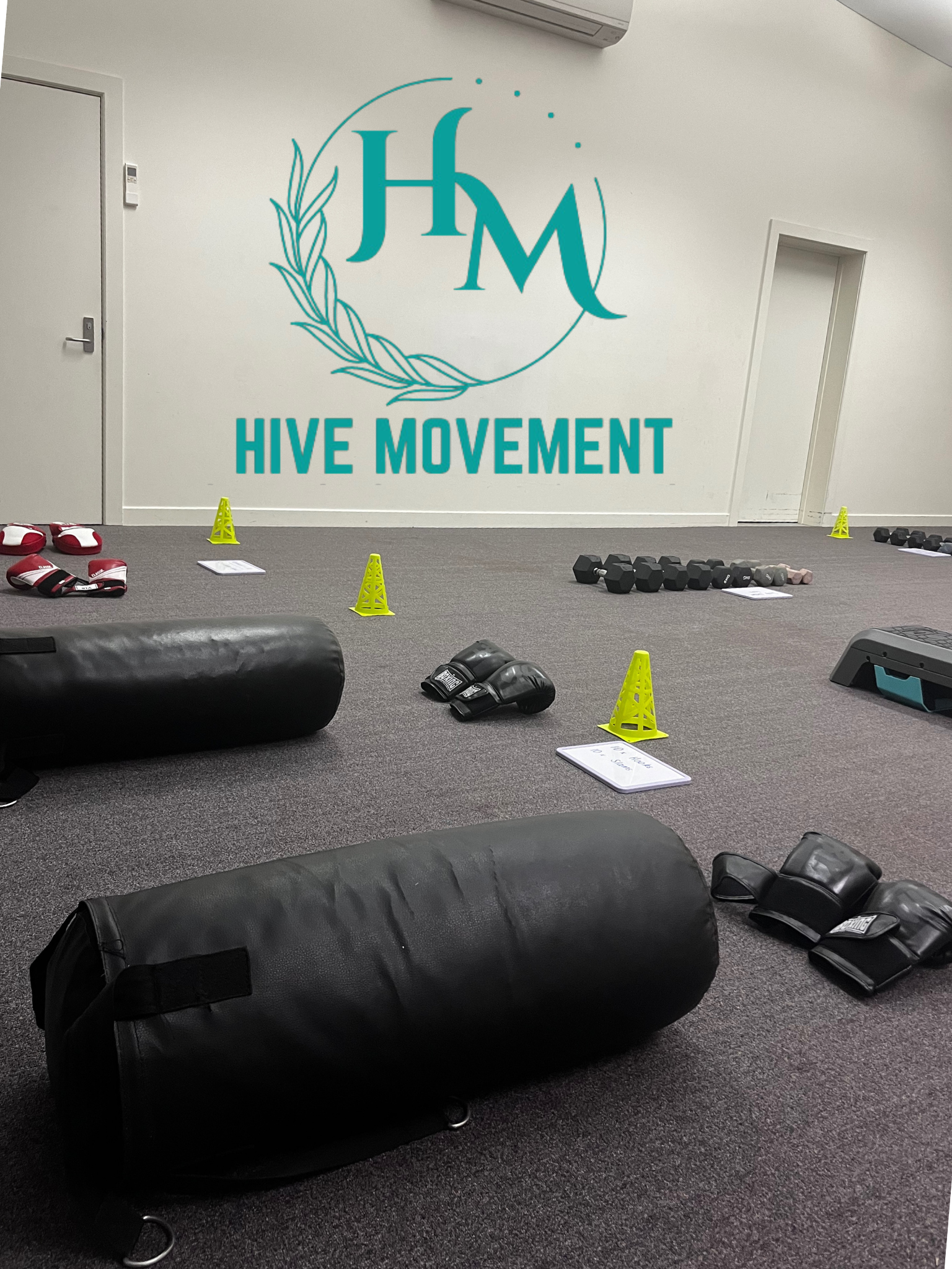 Fitness studio with punching bags, gloves, dumbbells, agility cones, and a Hive Movement logo on the wall.