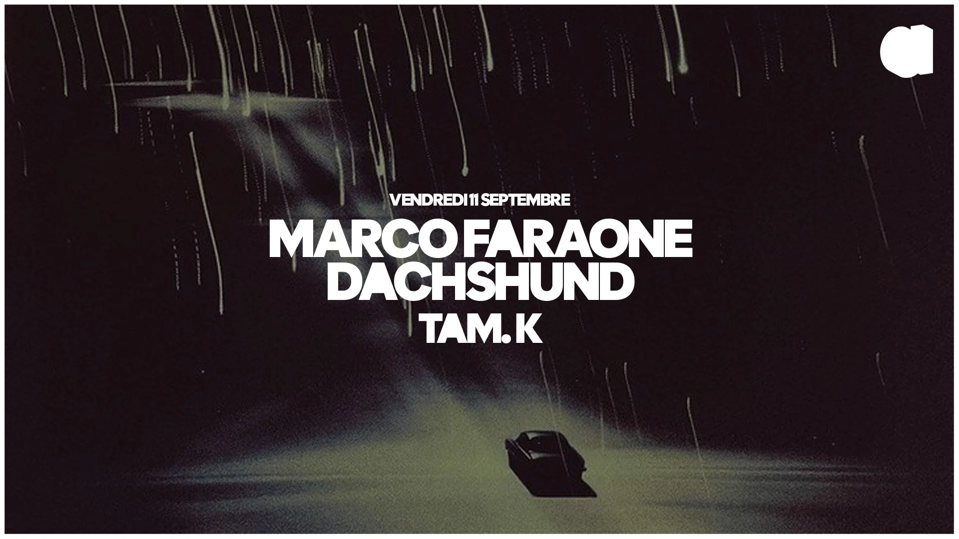 MARCO FARAONE · DACHSHUND · TAM.K
