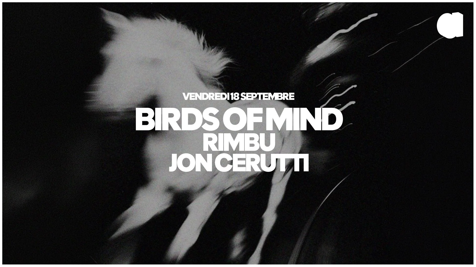 BIRDS OF MIND · RIMBU · JON CERUTTI