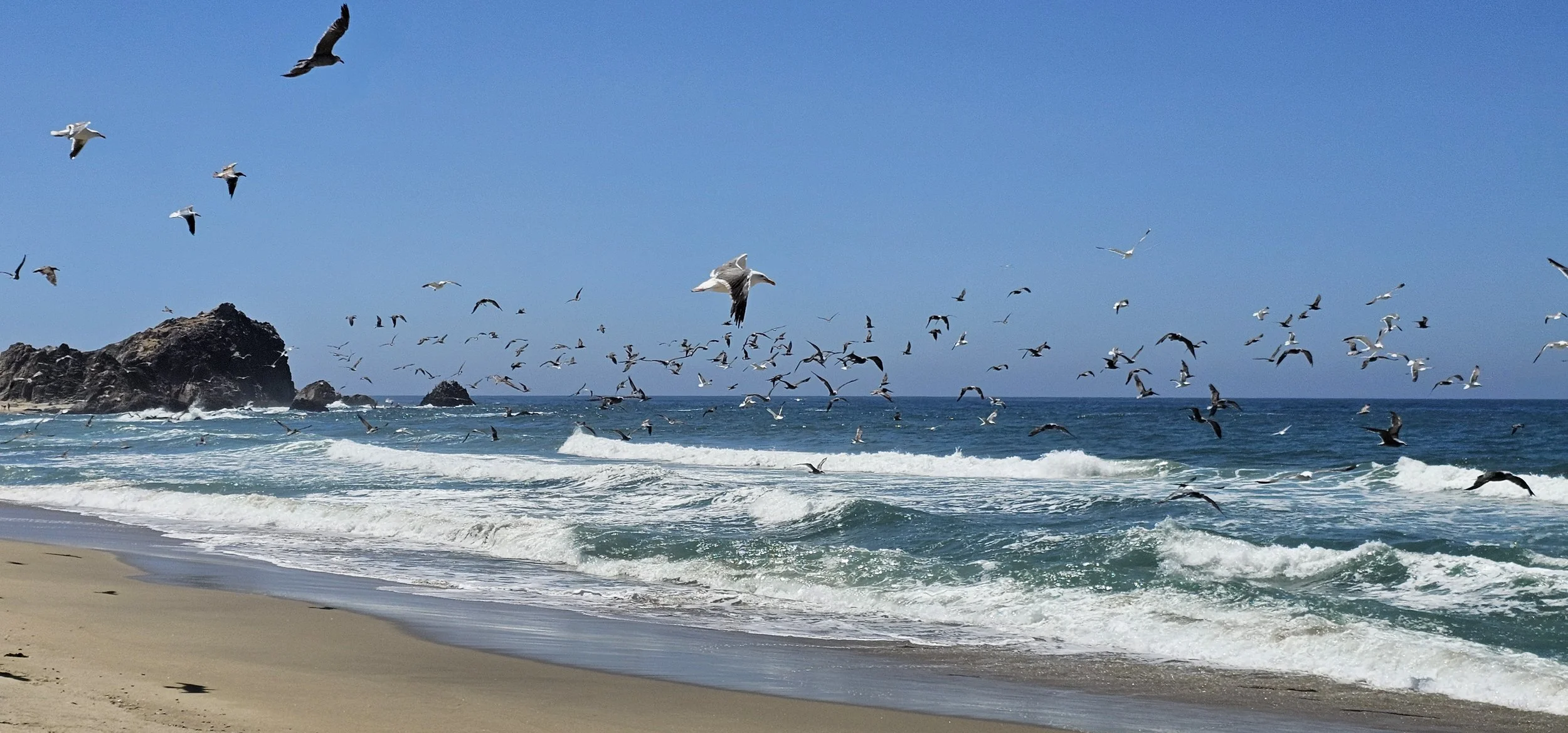 Creating Micro-Adventures – Fun Without a Plane Ticket or Big Budget
