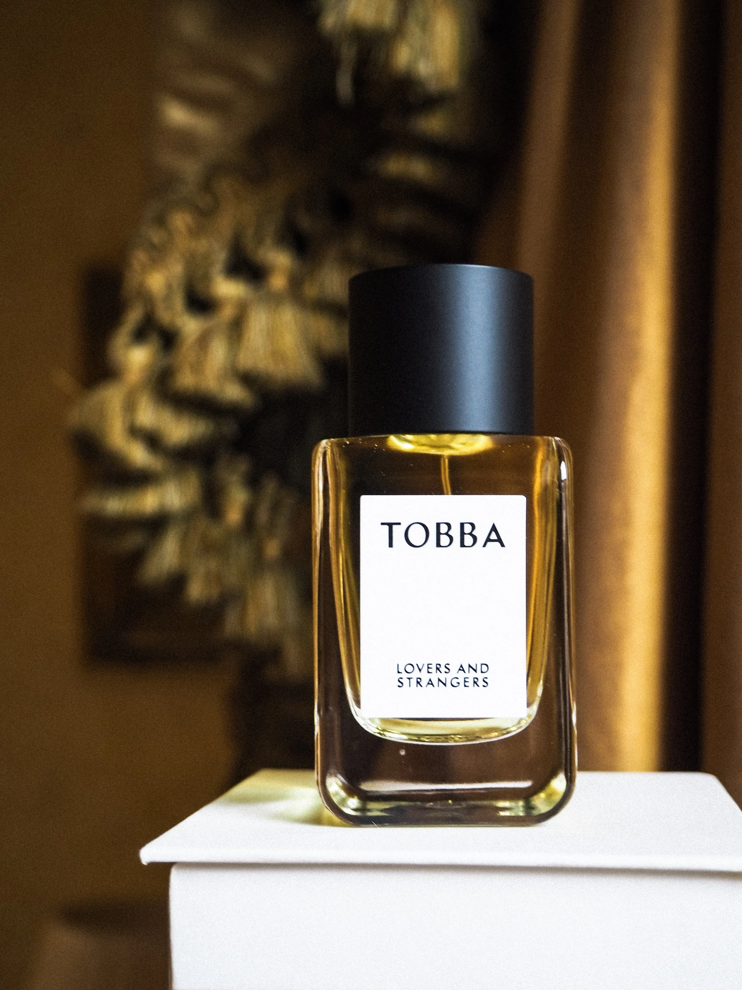 Between Glances: A Study of Tobba’s Lovers and Strangers