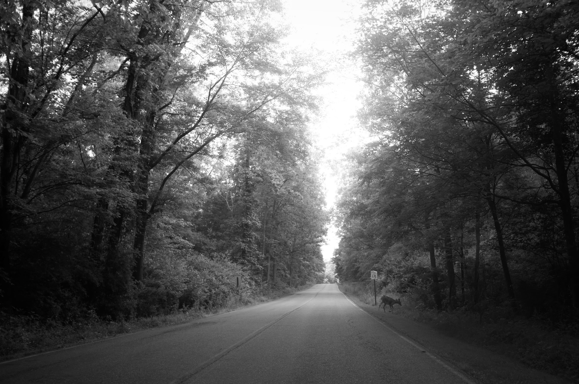 Screenshot 2025-08-26 at 12.13.41 PM.png