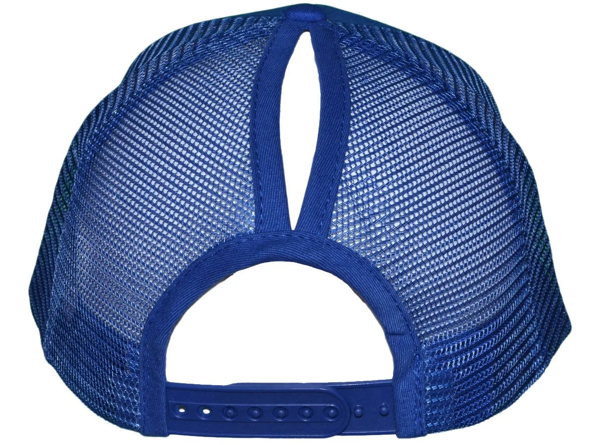 ponytail hat back.jpg