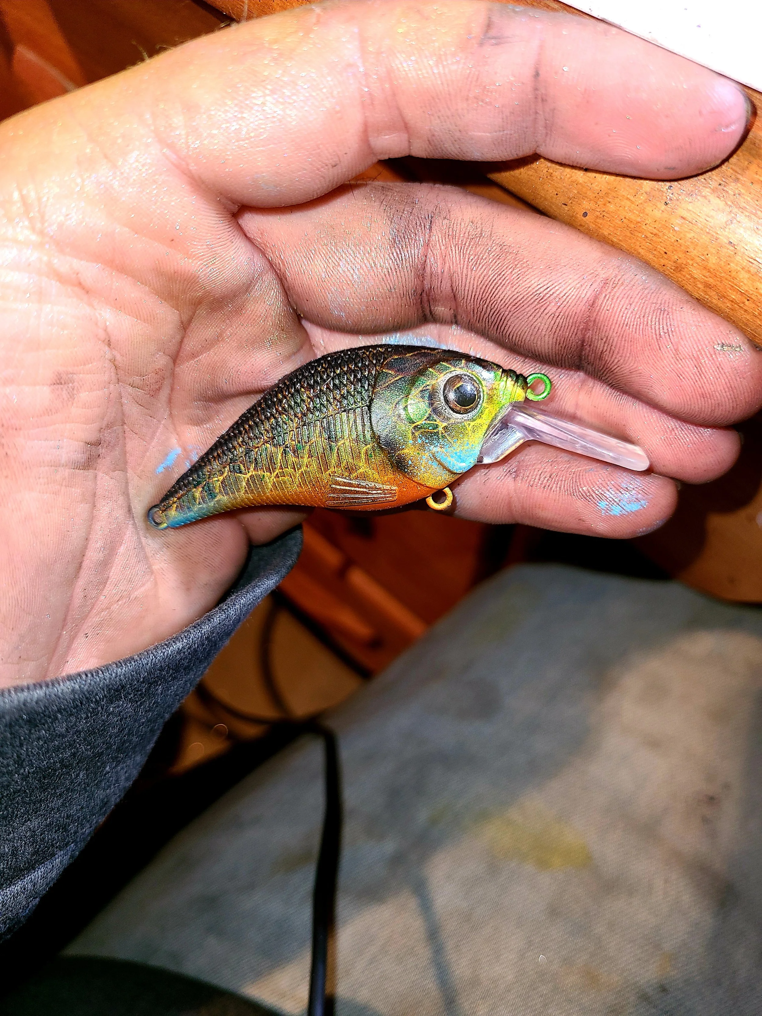 Small Squarebill with Rattles