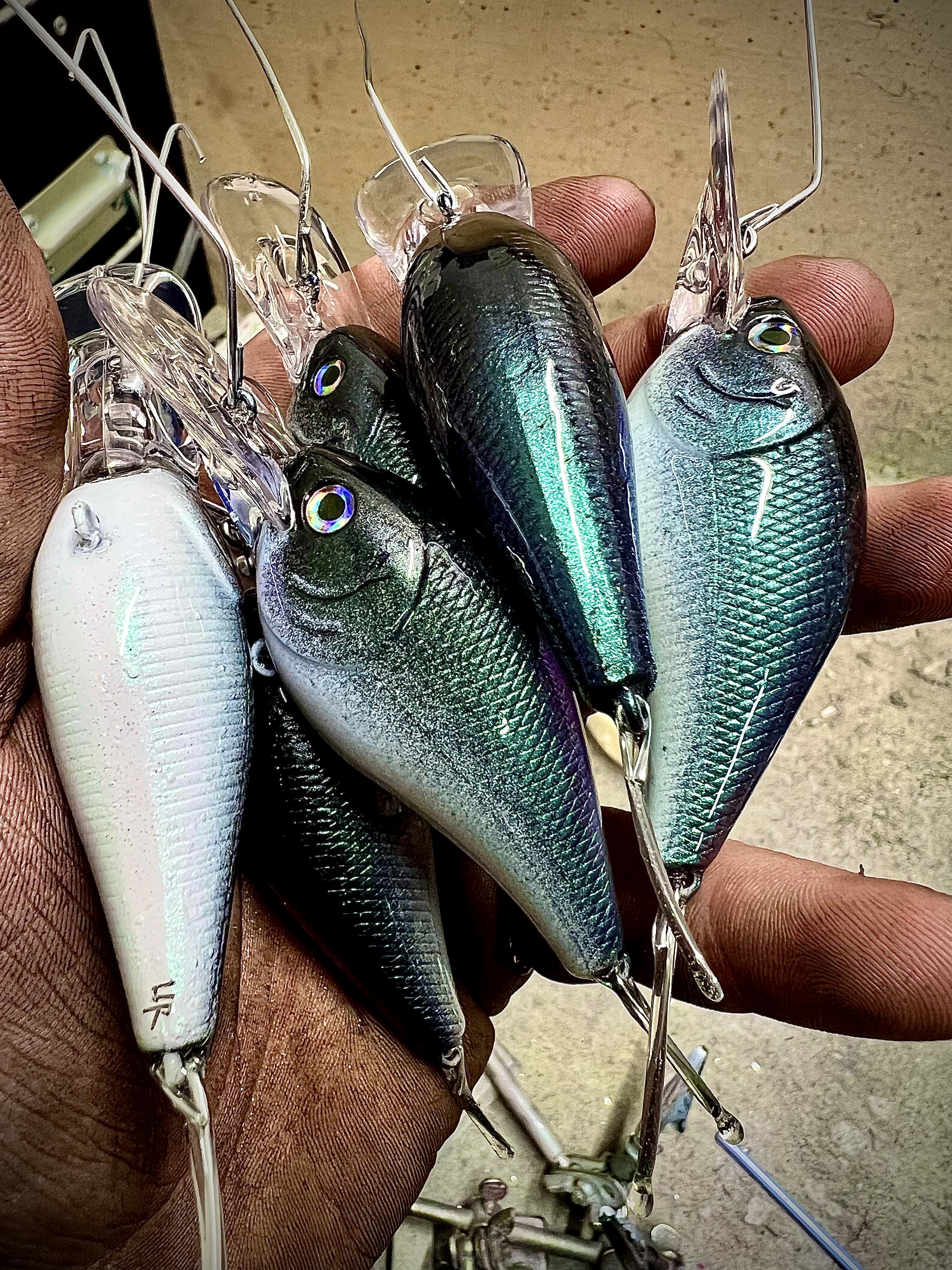 Shapeshifter Deep.jpeg