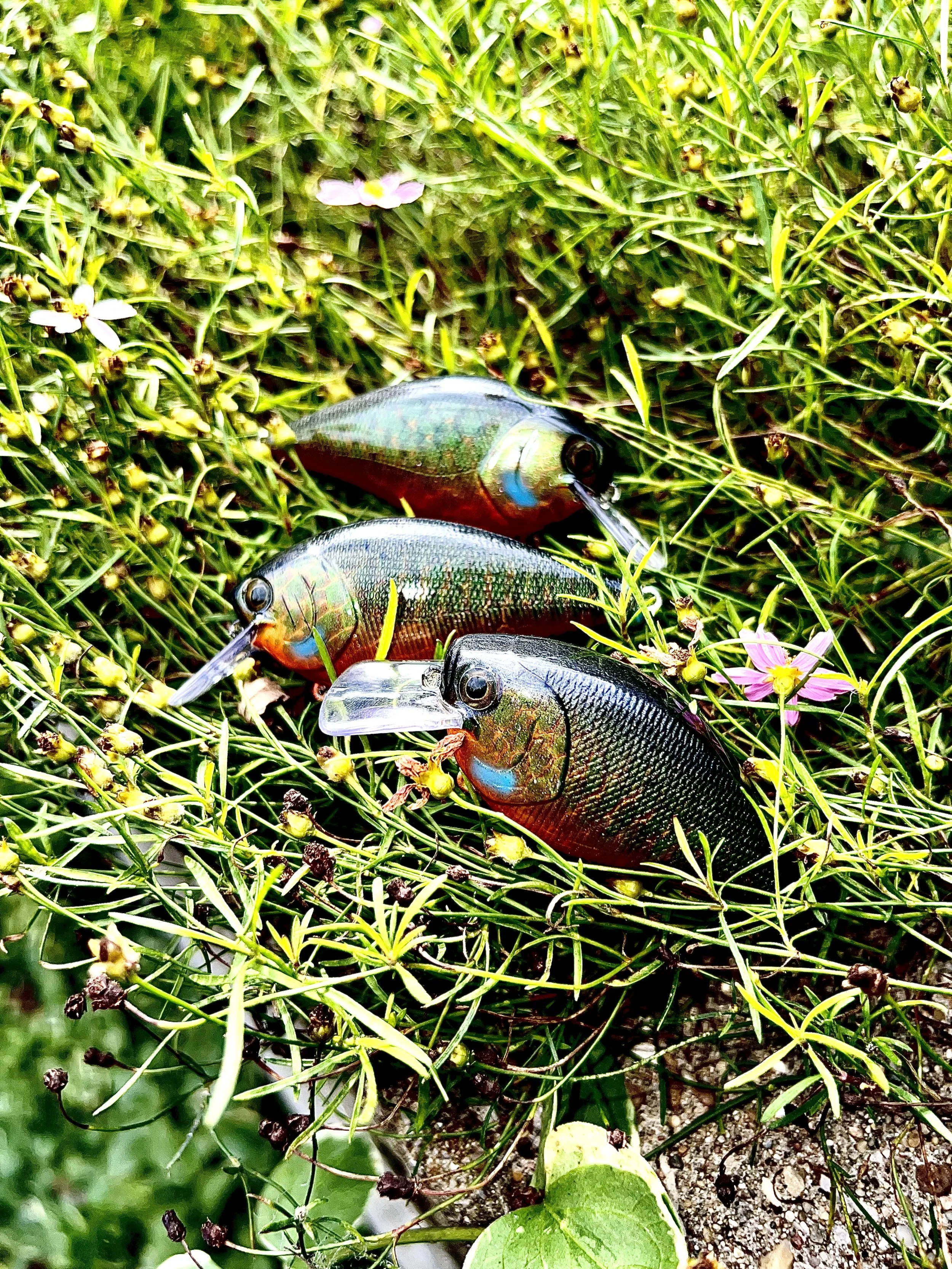 Killer Gill Square.jpeg