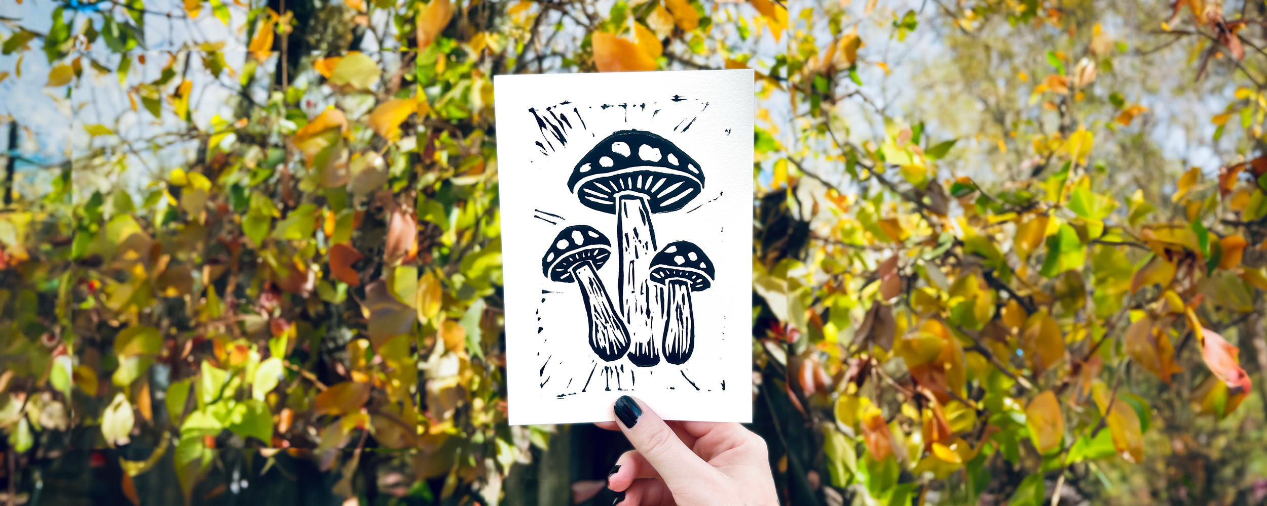 A hand holding a black and white drawing of mushrooms in front of a leafy shrub with yellow and green leaves.