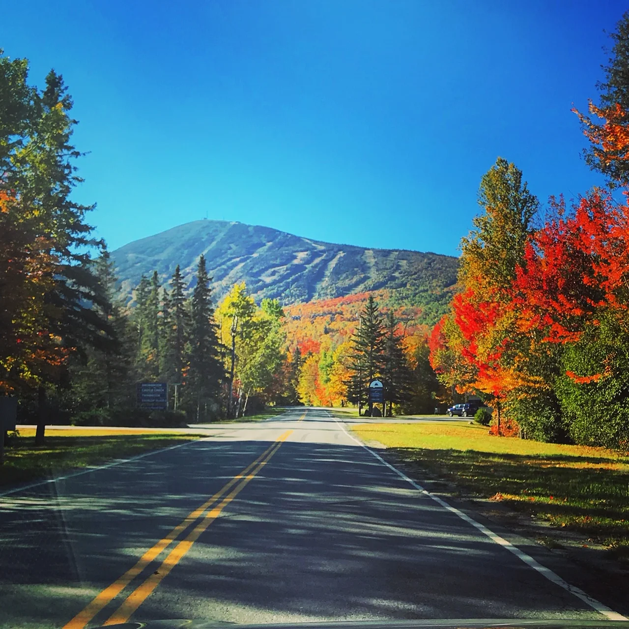 SUGARLOAF MALS PIC.JPG