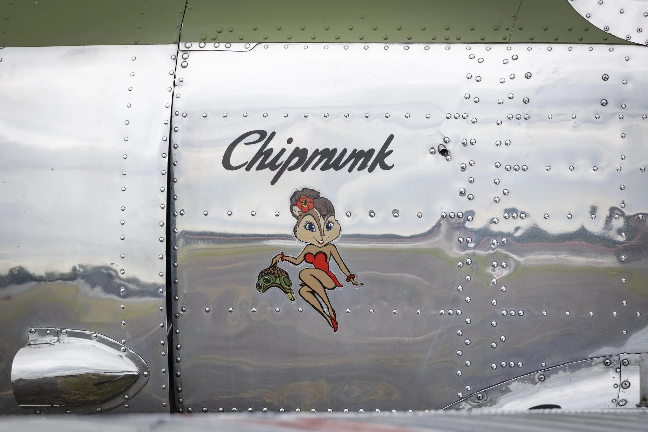 Stampe_Forever_120.jpg