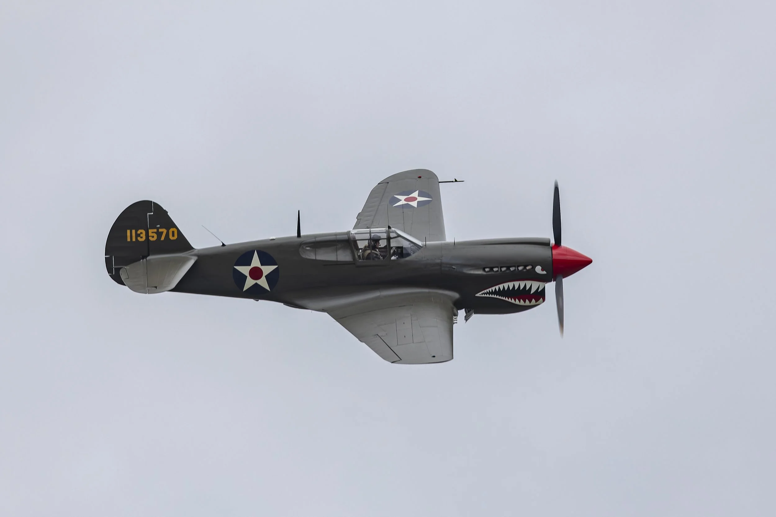 Stampe_Forever_001.jpg