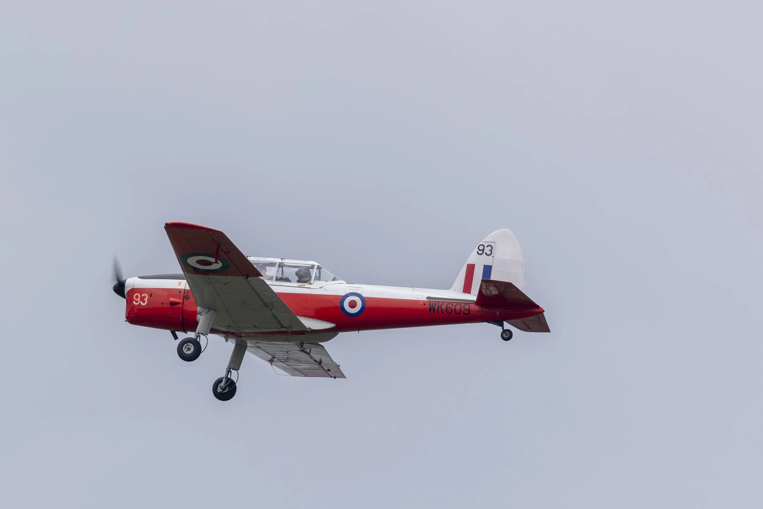 Stampe_Forever_155.jpg
