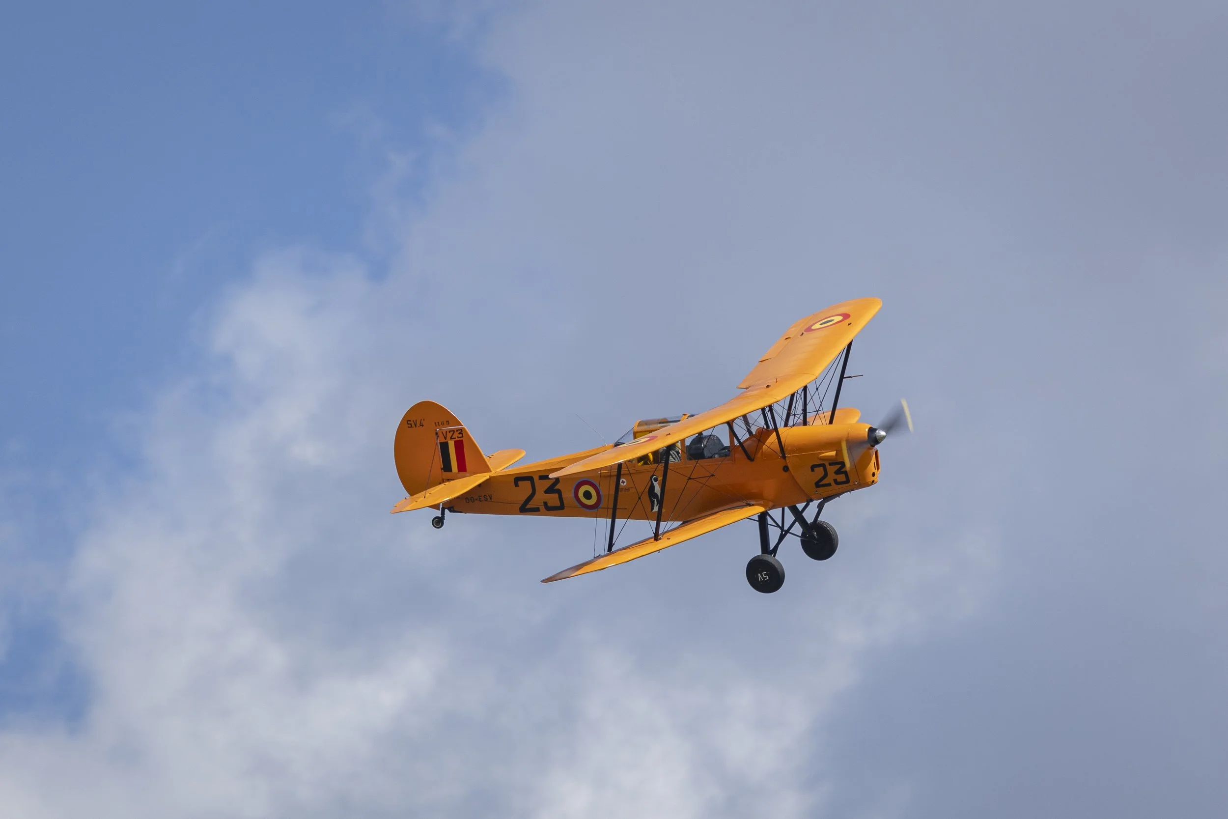 Stampe_Forever_056.jpg