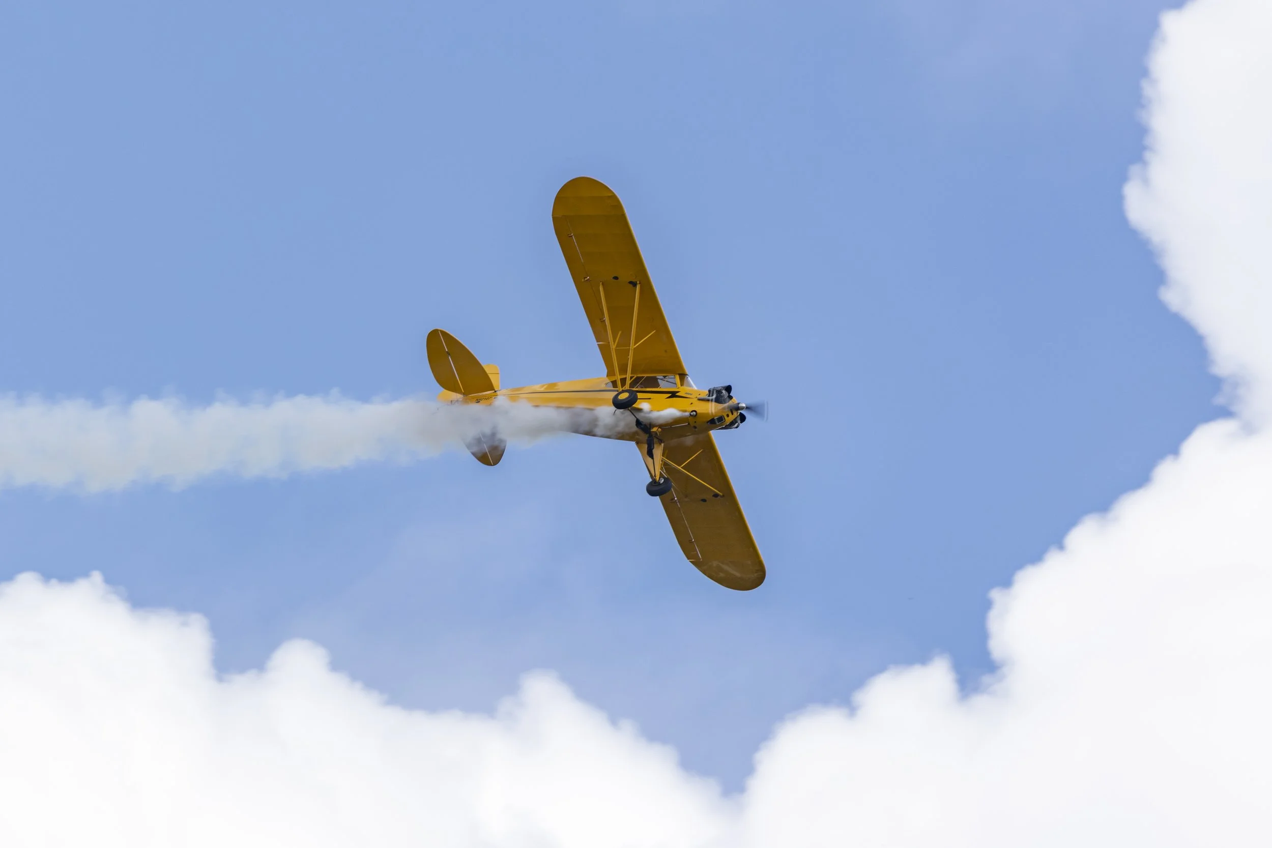 Stampe_Forever_090.jpg