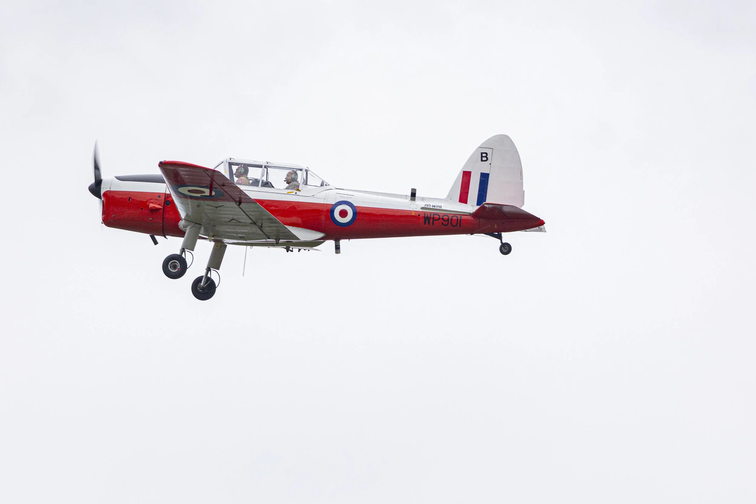 Stampe_Forever_118.jpg