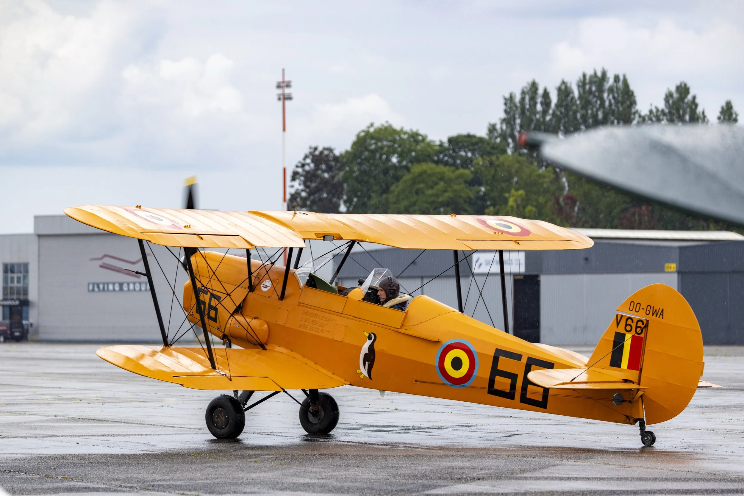Stampe_Forever_146.jpg