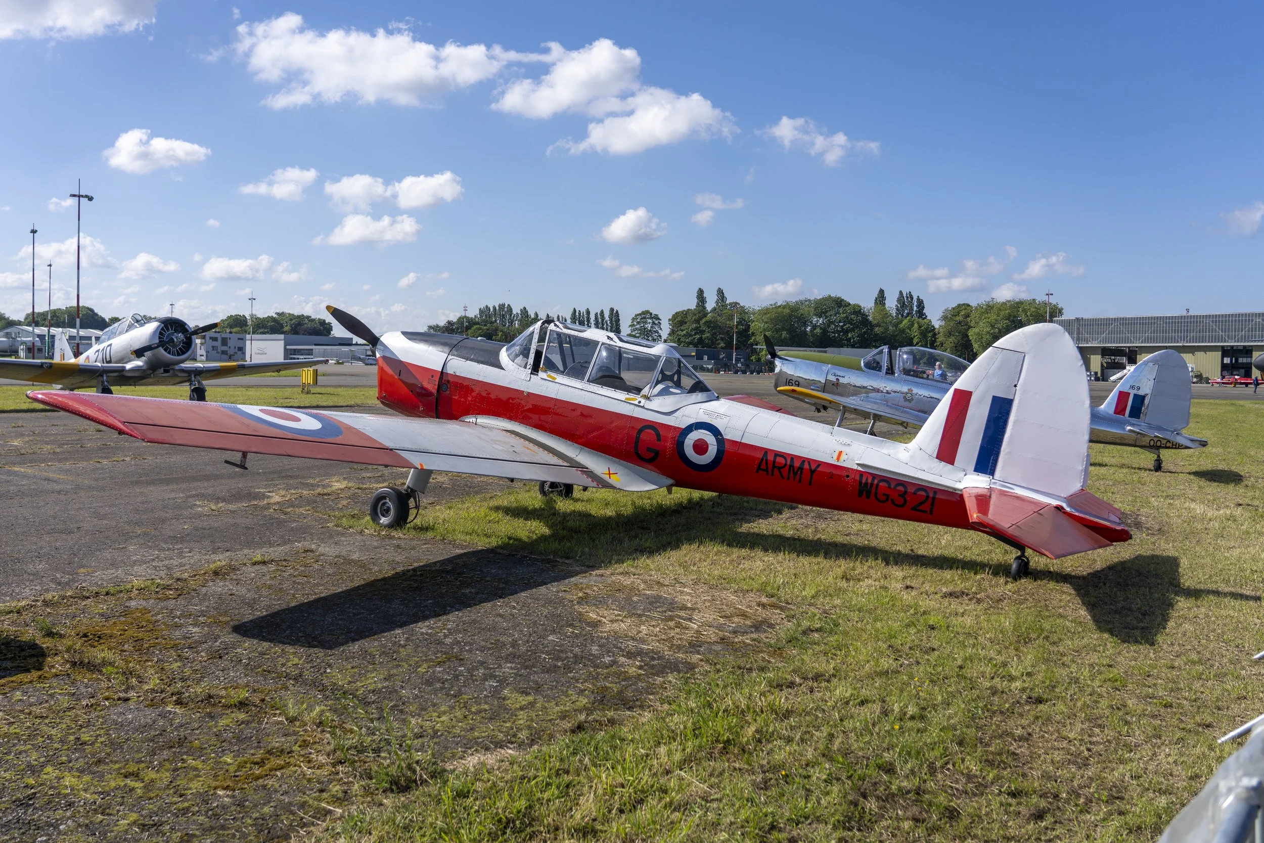 Stampe_Forever_016.jpg