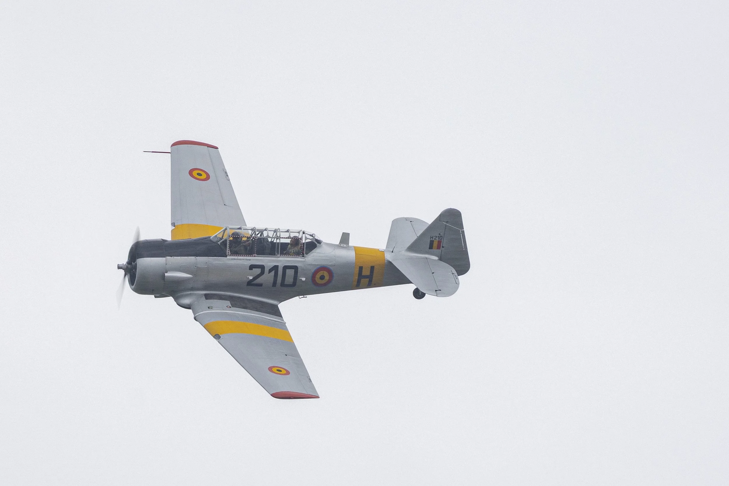 Stampe_Forever_148.jpg