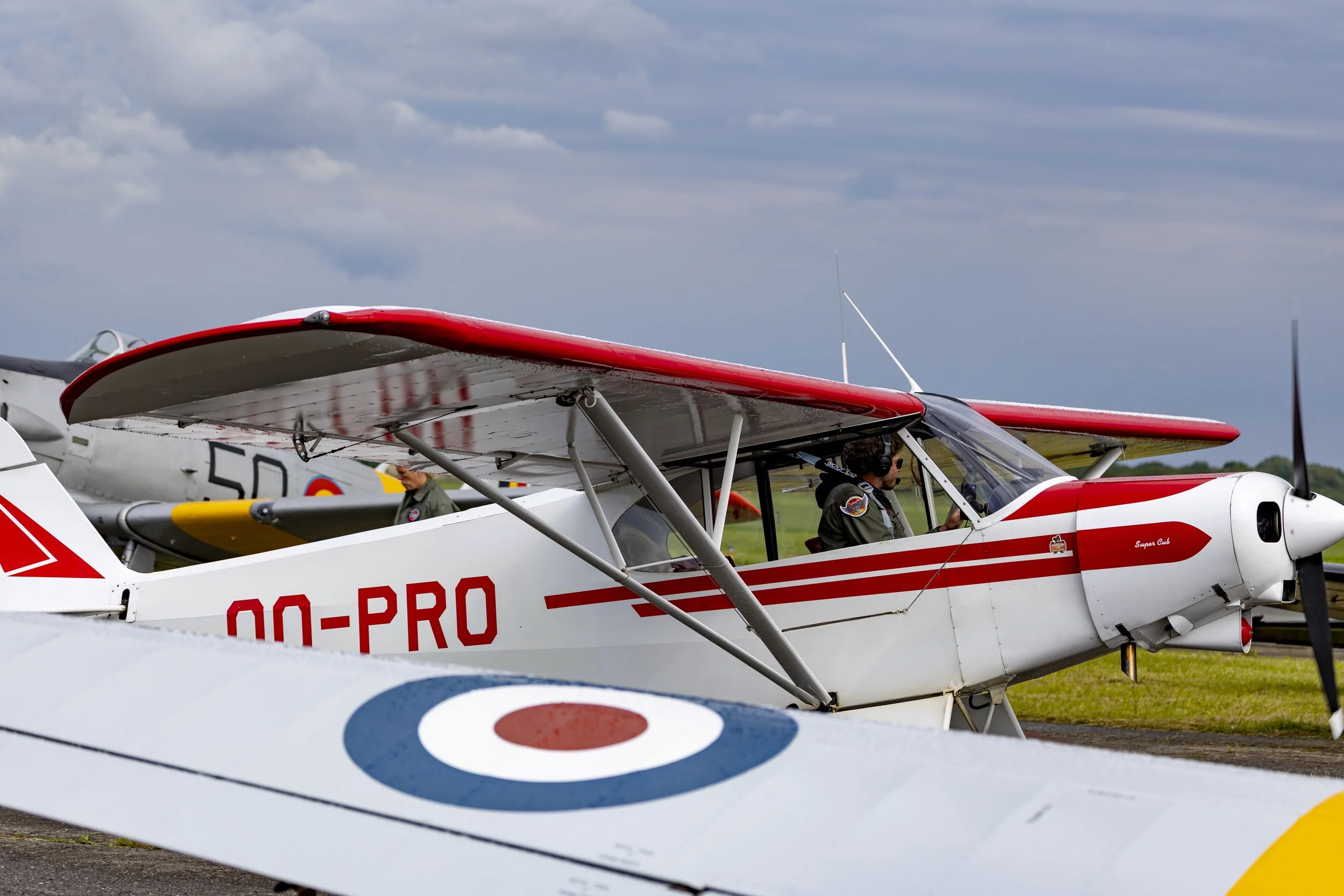 Stampe_Forever_177.jpg