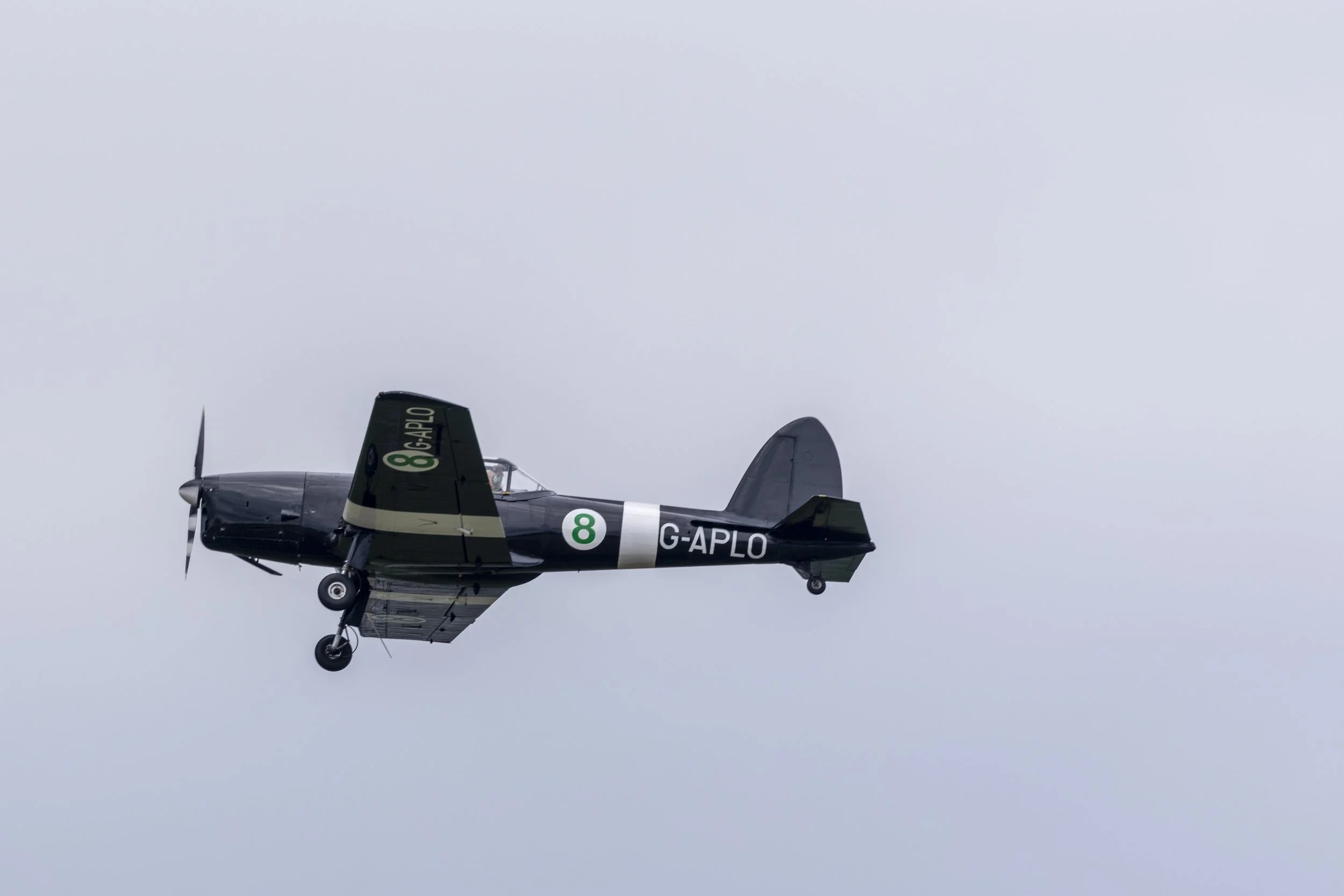Stampe_Forever_156.jpg