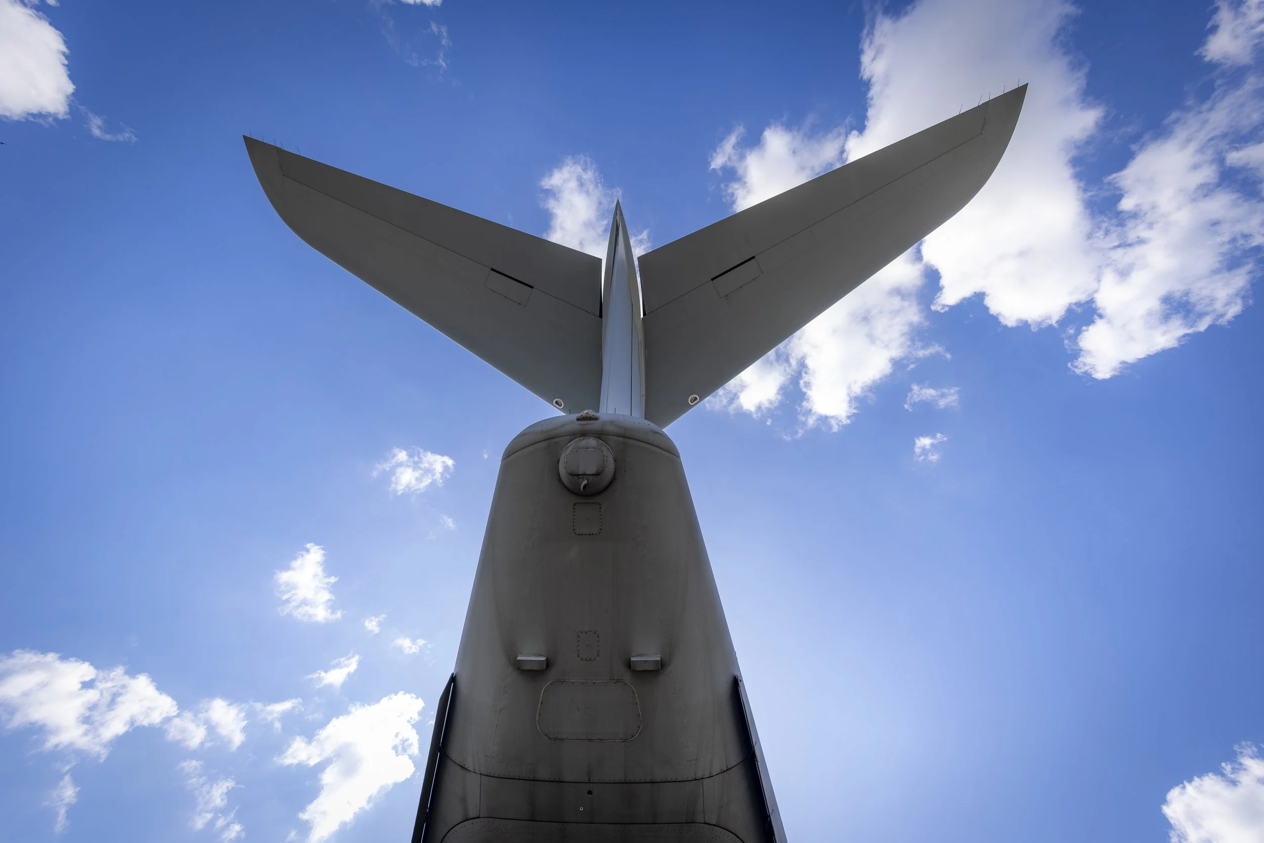 Stampe_Forever_029.jpg