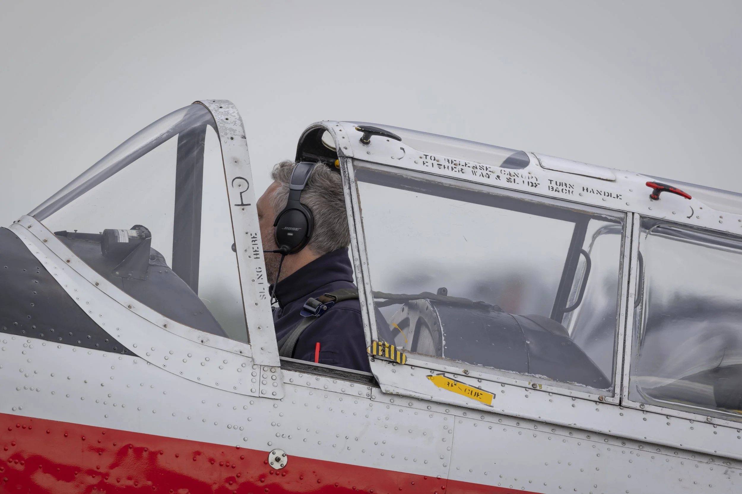 Stampe_Forever_167.jpg