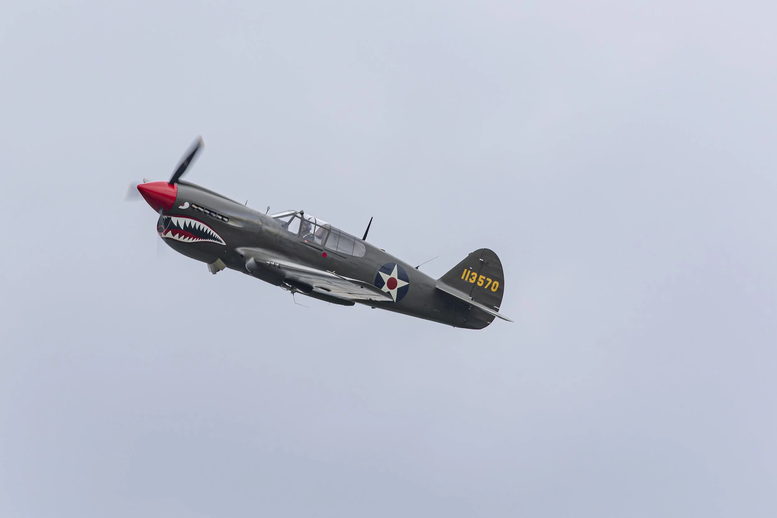 Stampe_Forever_002.jpg