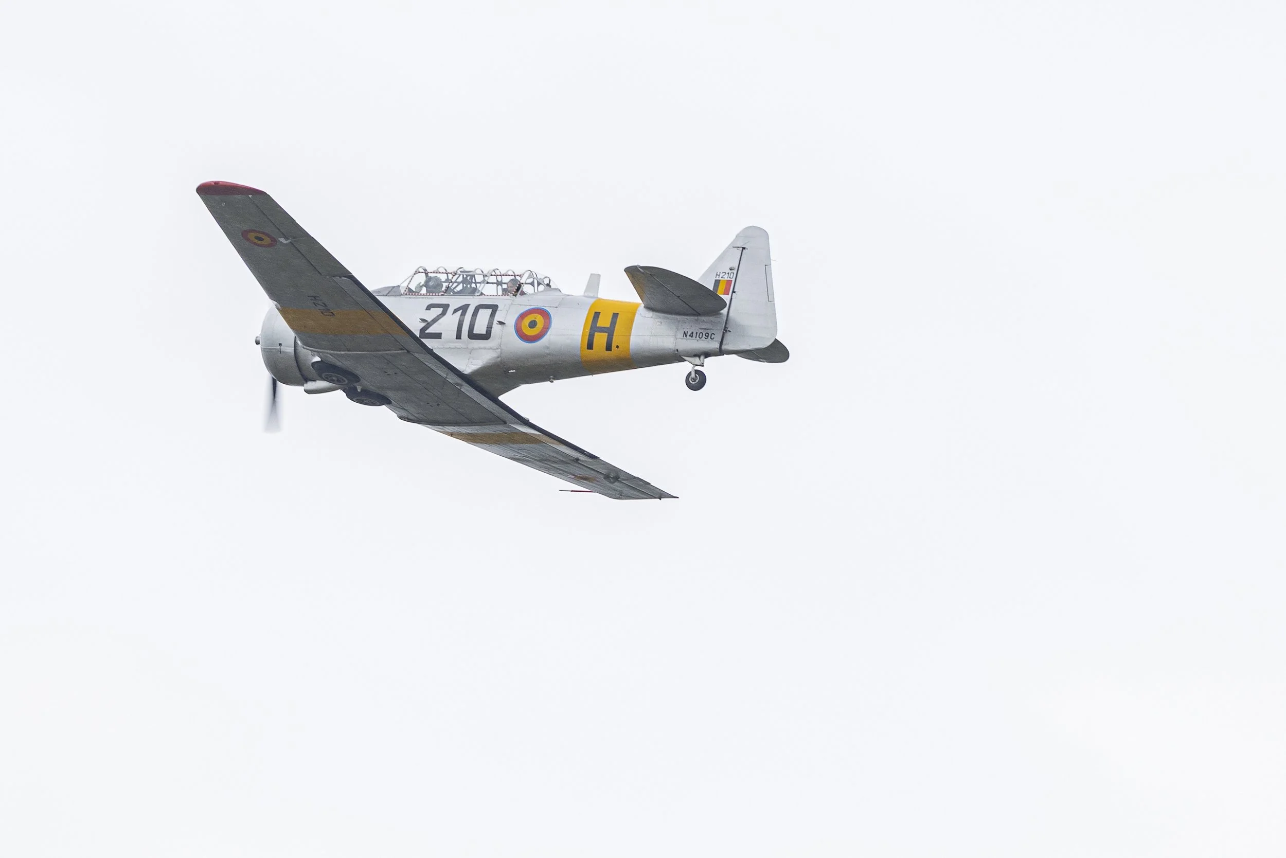 Stampe_Forever_147.jpg
