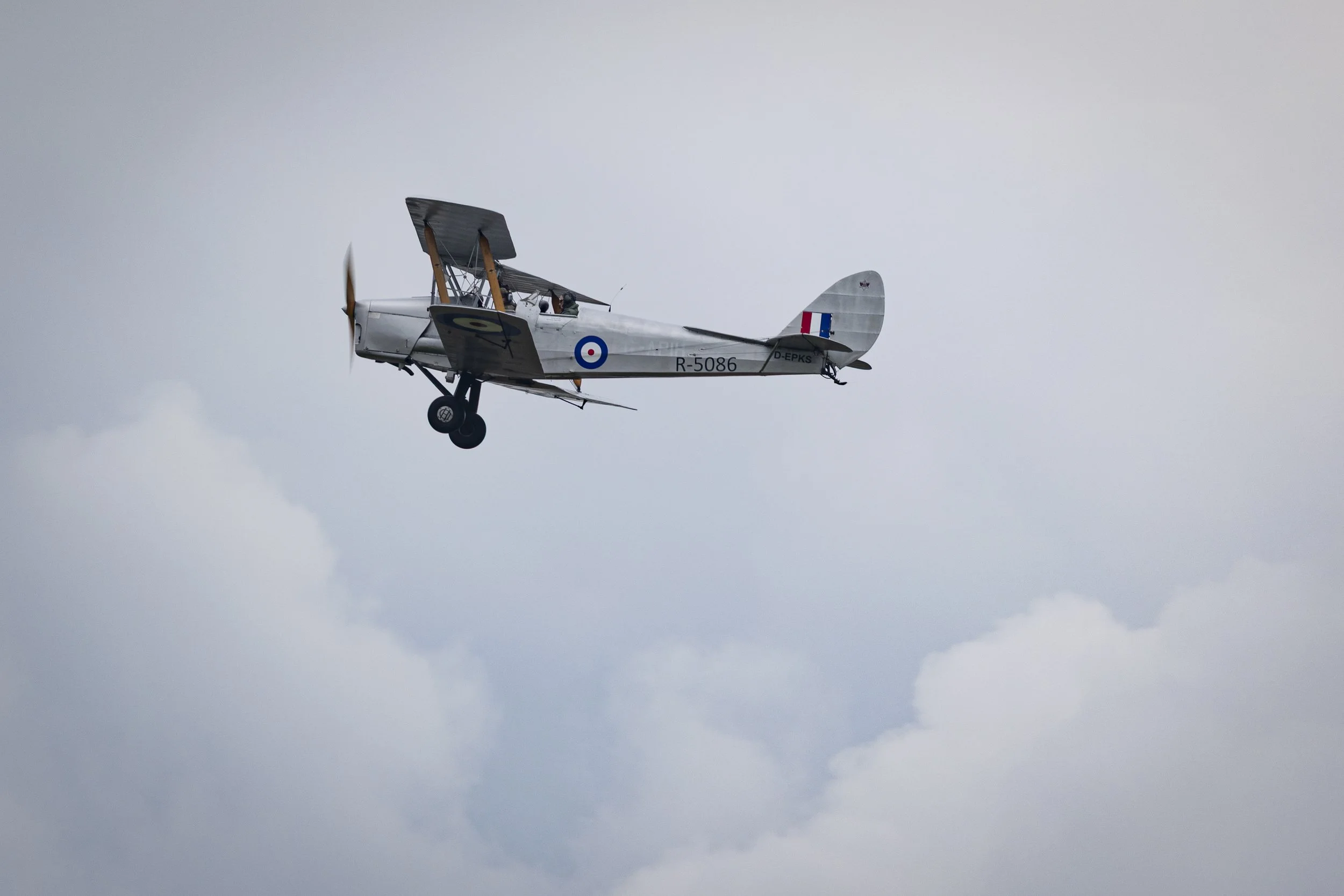 Stampe_Forever_152.jpg
