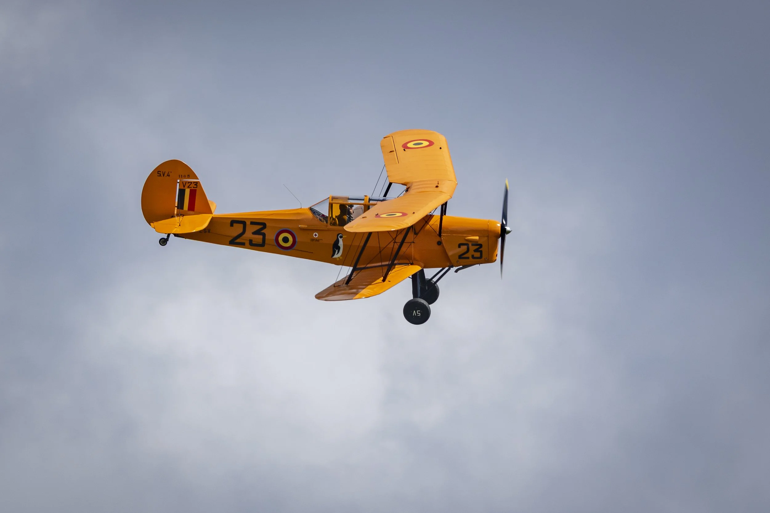 Stampe_Forever_057.jpg
