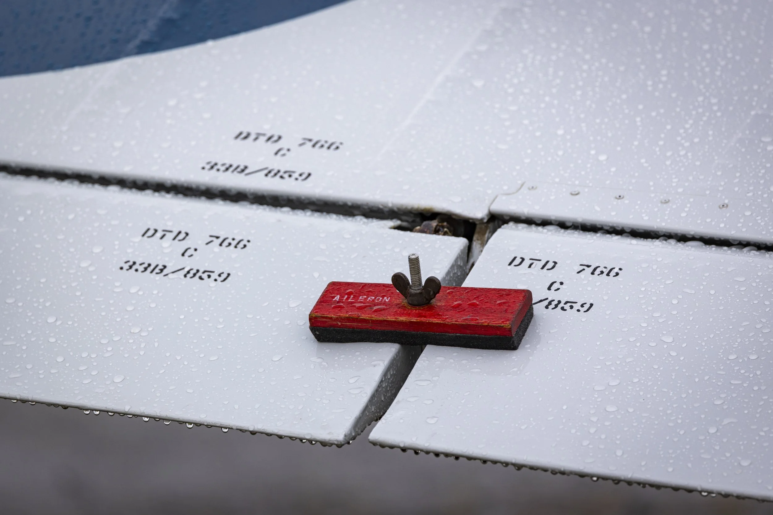 Stampe_Forever_141.jpg