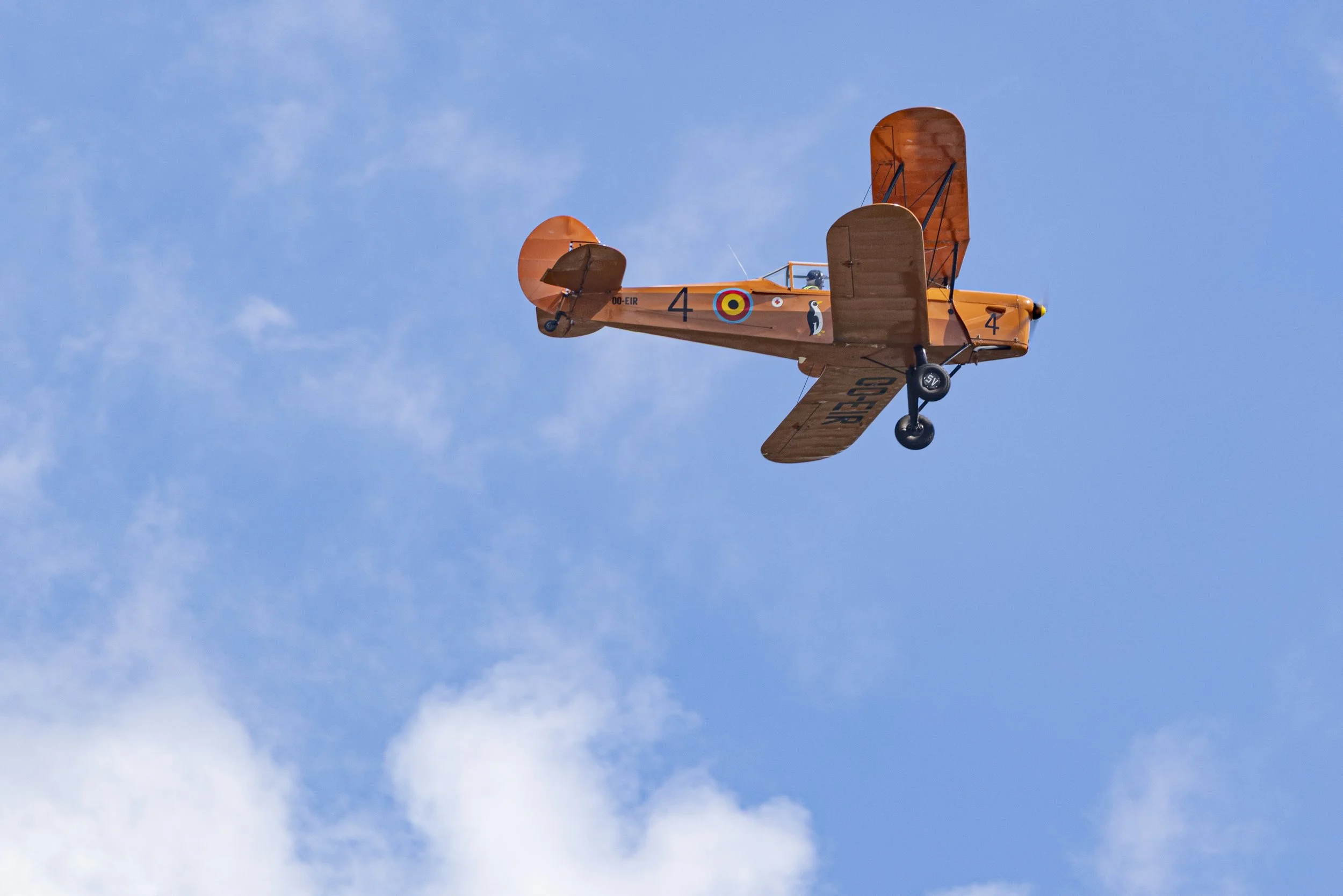 Stampe_Forever_060.jpg