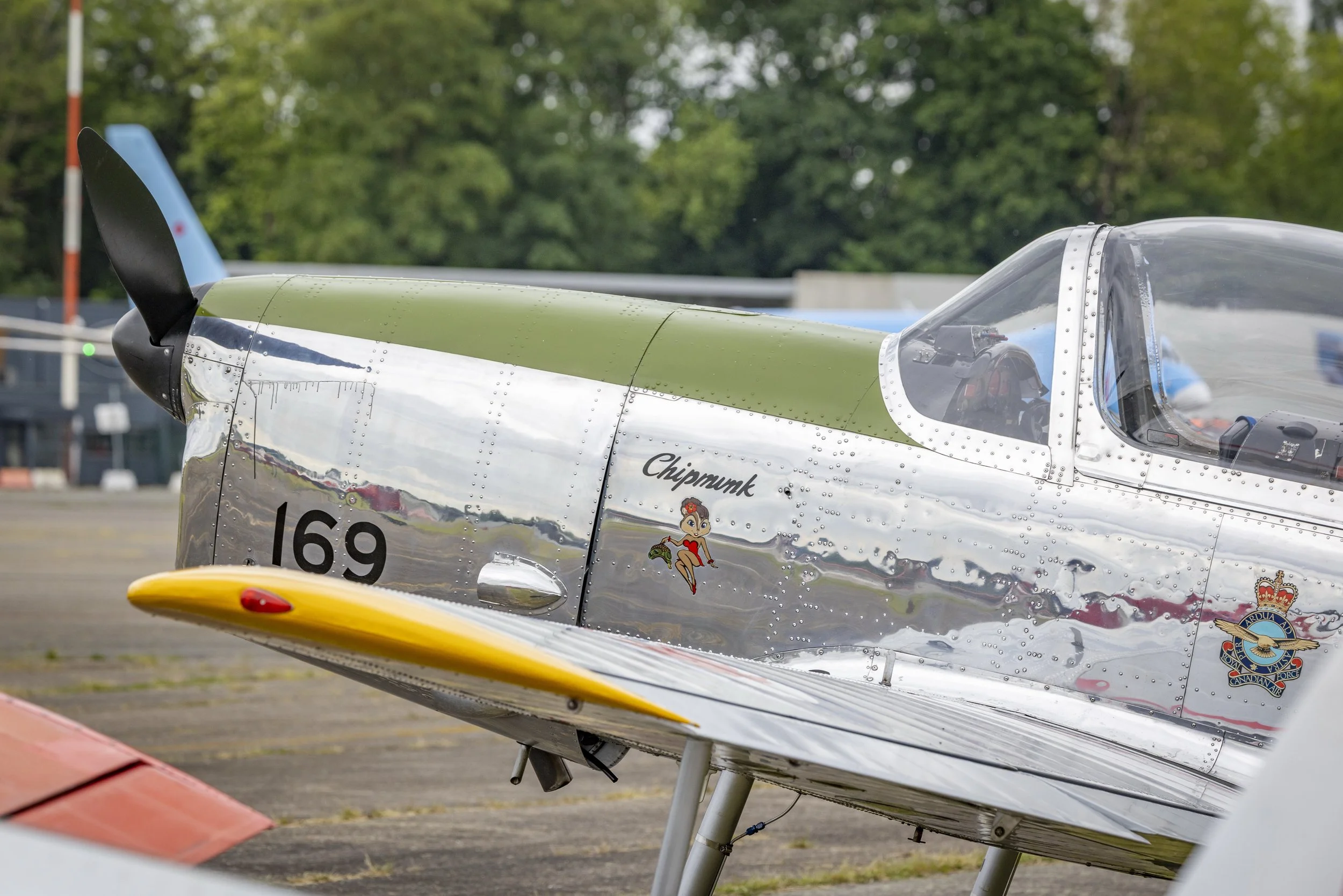 Stampe_Forever_119.jpg