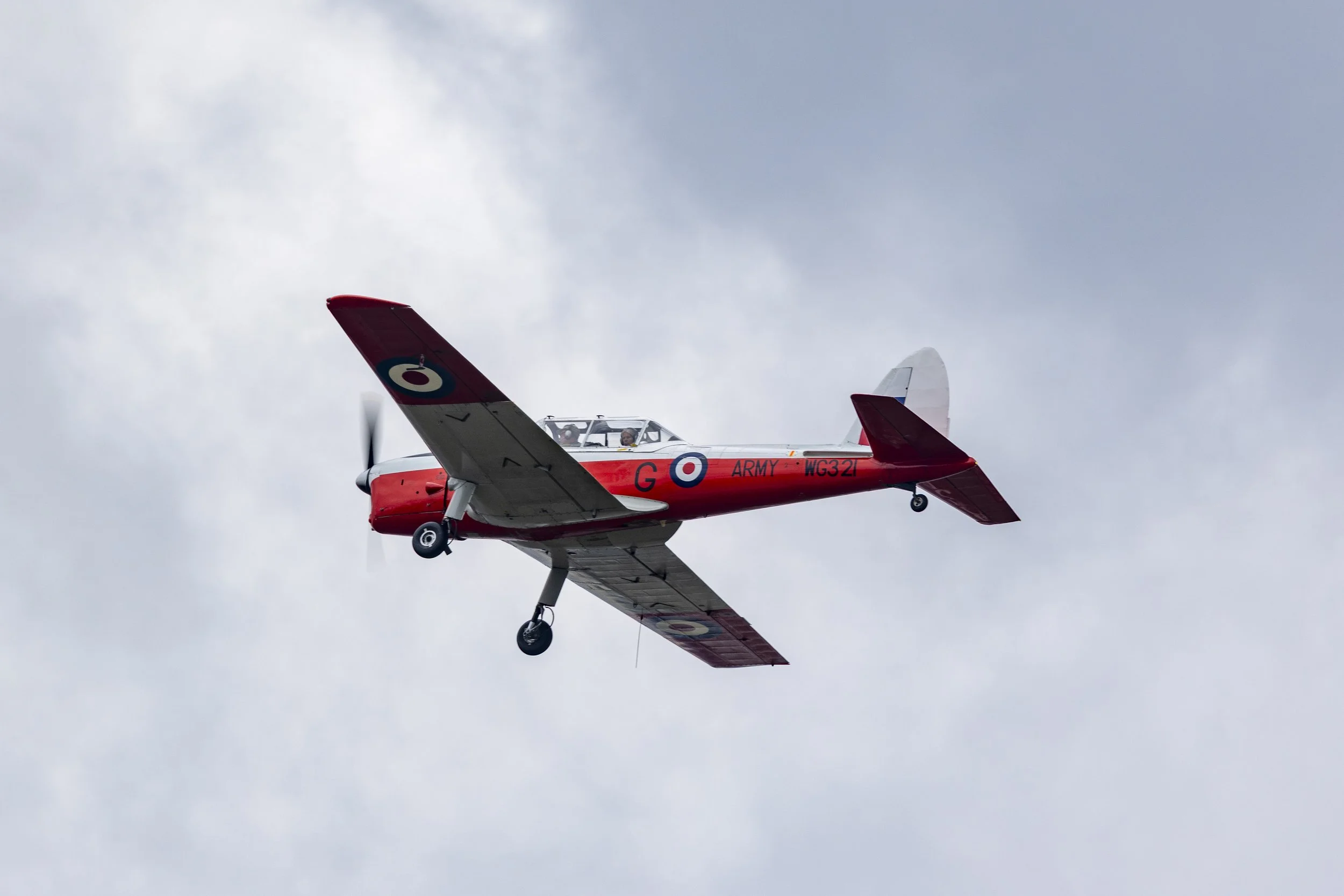 Stampe_Forever_153.jpg