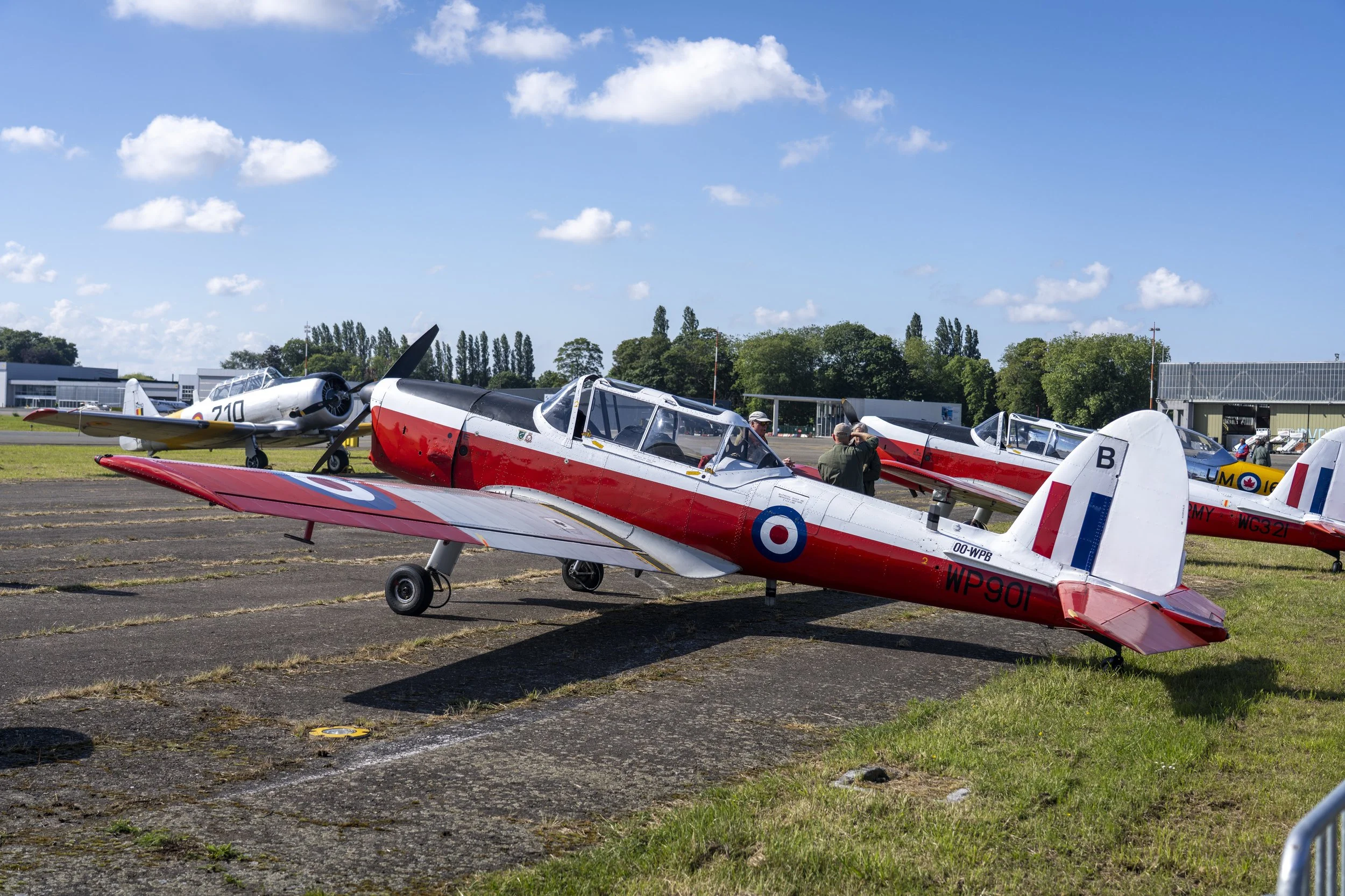 Stampe_Forever_012.jpg