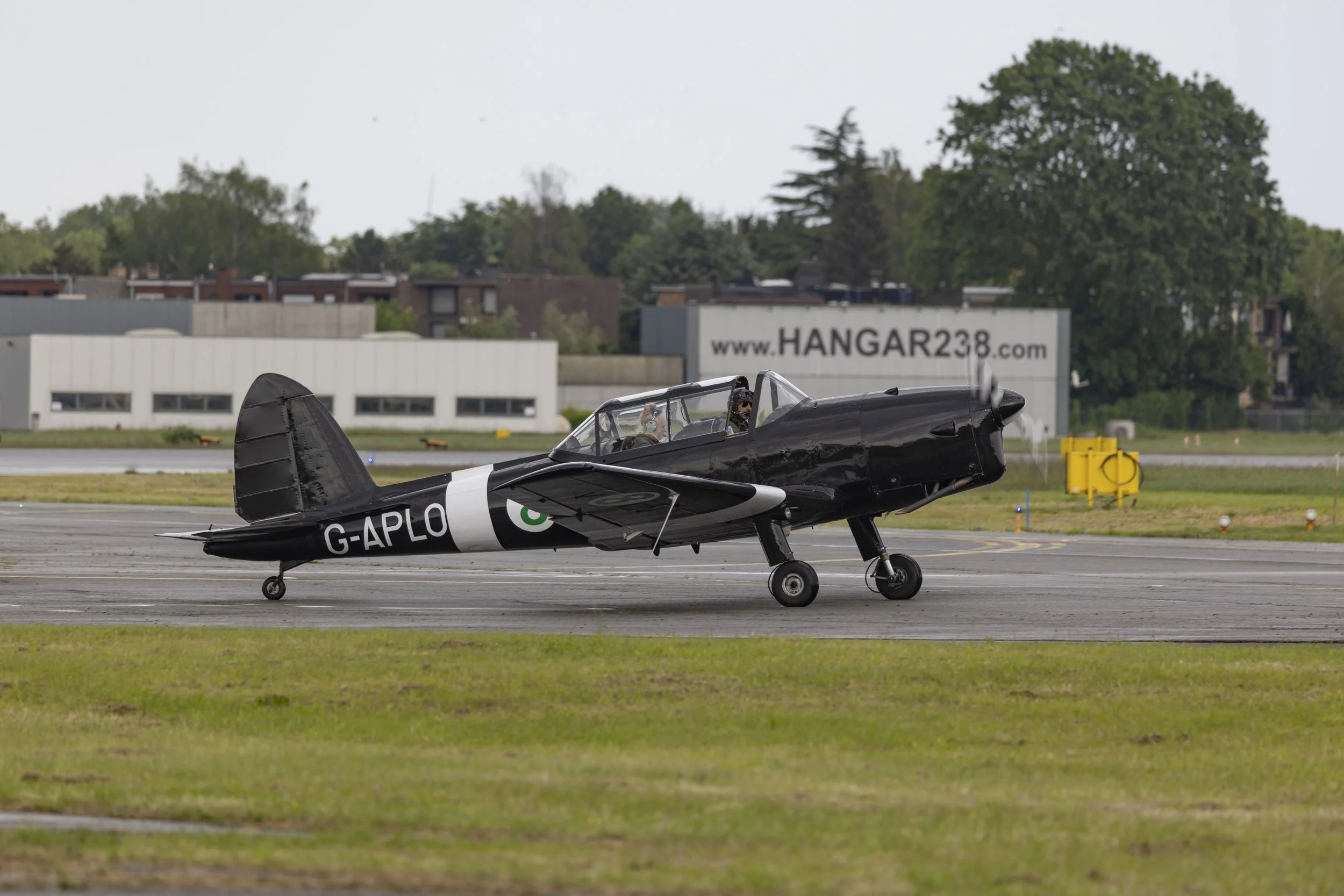 Stampe_Forever_165.jpg