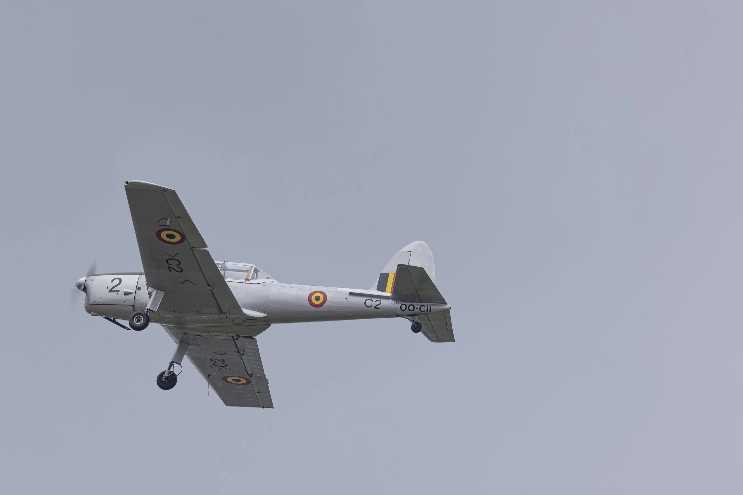 Stampe_Forever_158.jpg