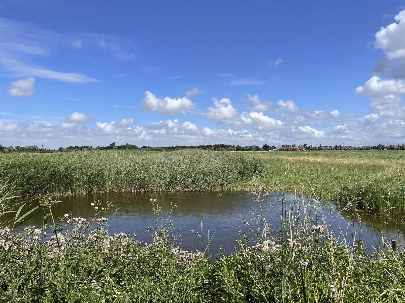 Uitkerksepolders45.jpg