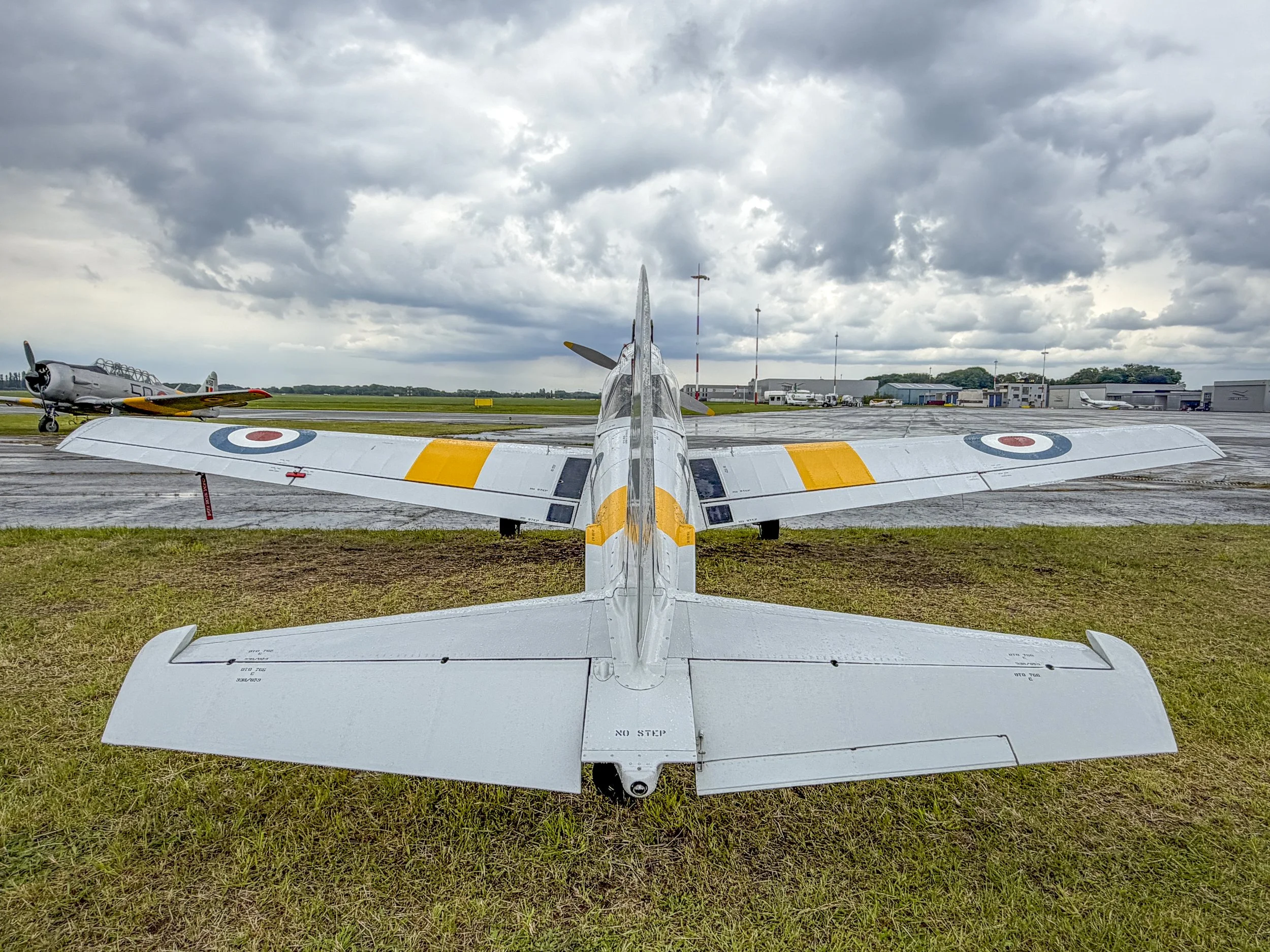 Stampe_Forever_164.jpg