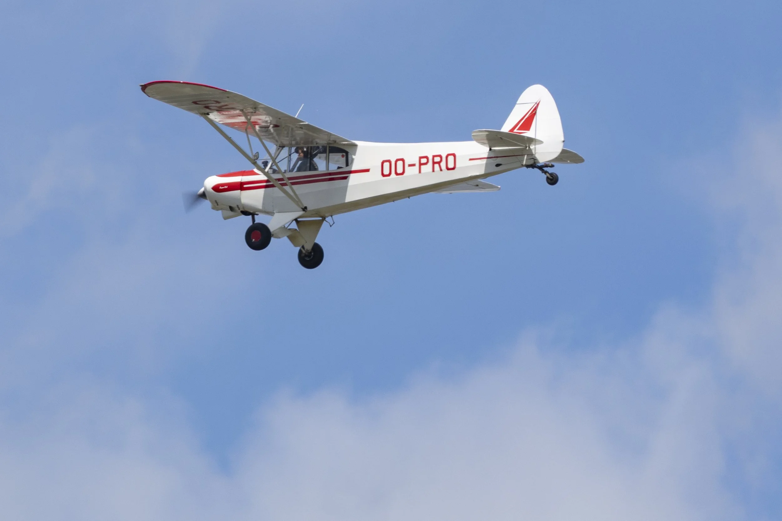 Stampe_Forever_087.jpg