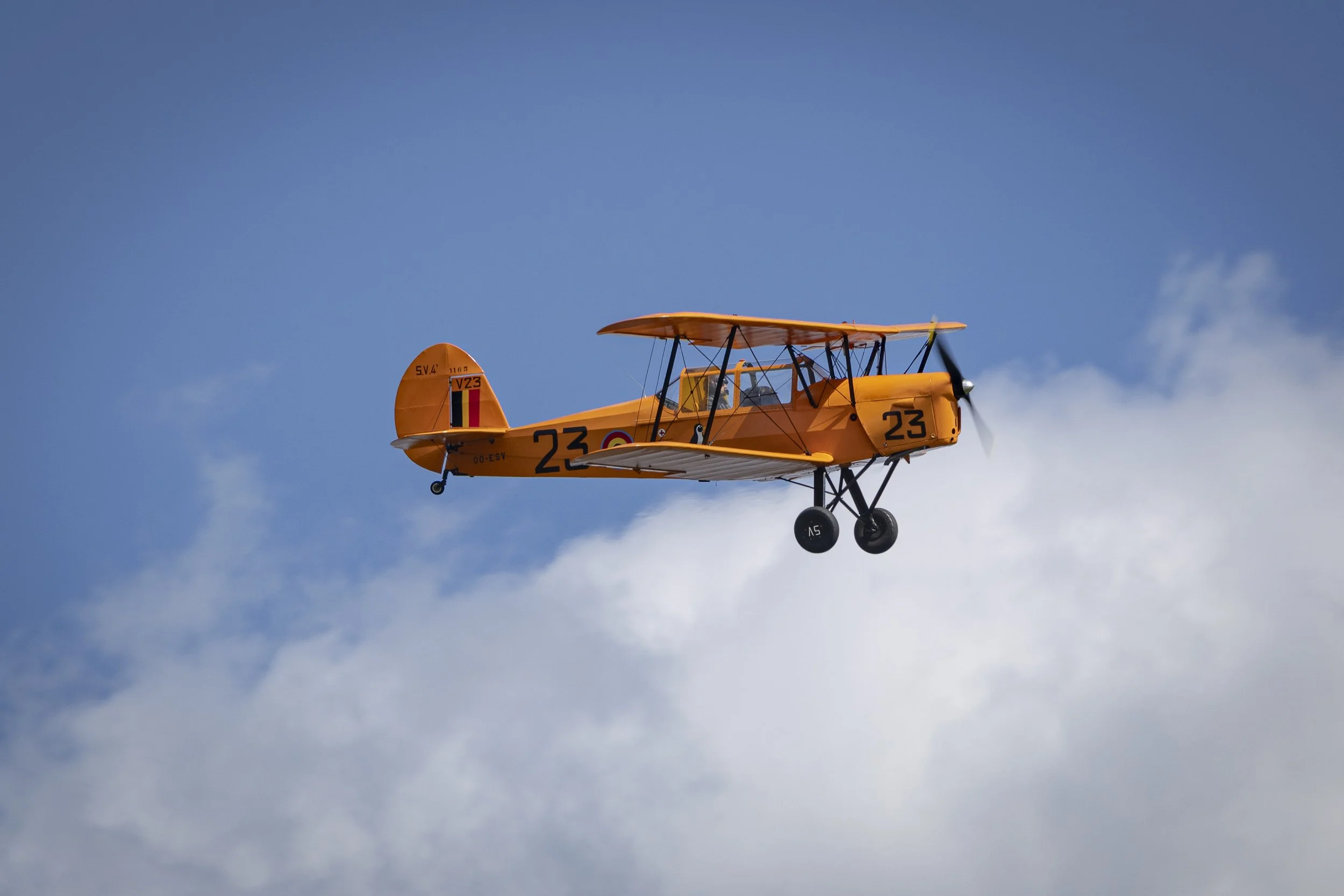 Stampe_Forever_055.jpg