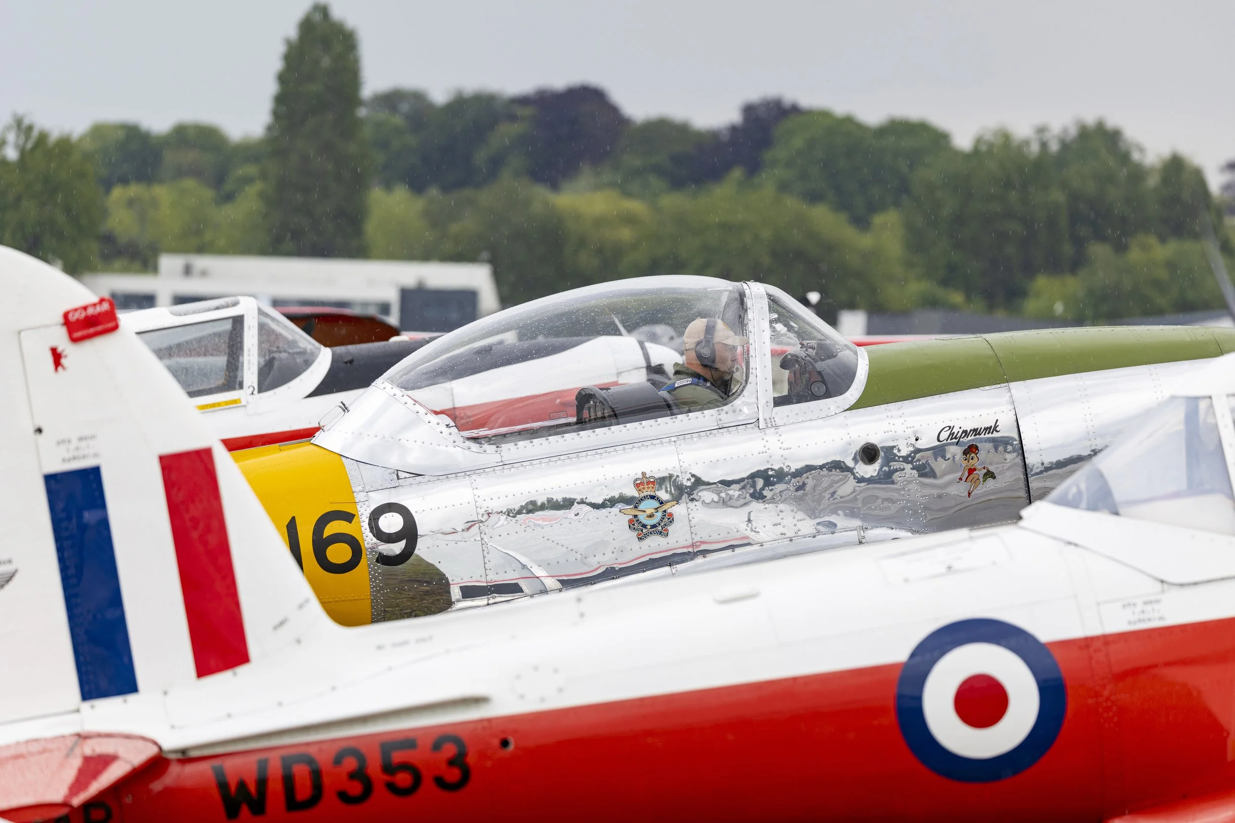 Stampe_Forever_145.jpg