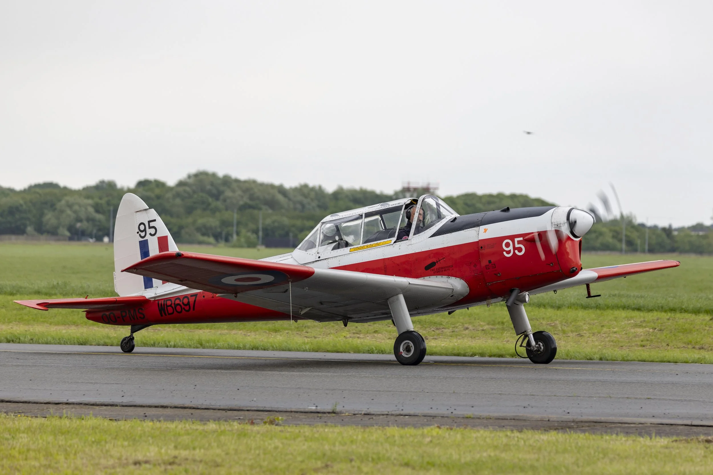 Stampe_Forever_166.jpg