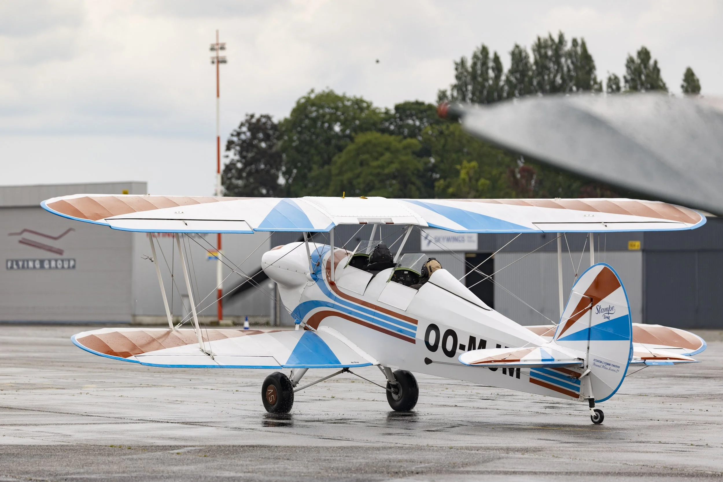 Stampe_Forever_142.jpg