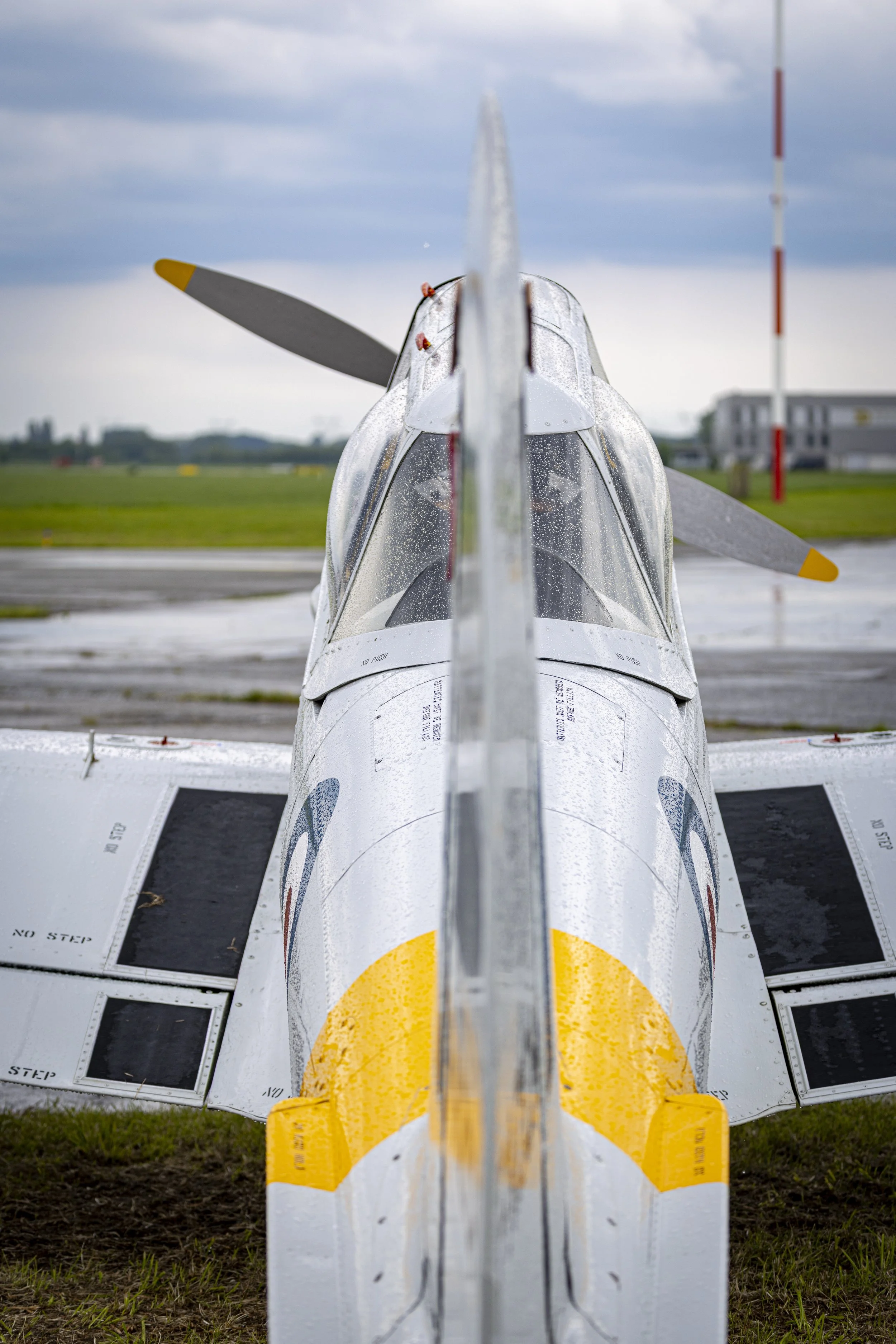 Stampe_Forever_138.jpg